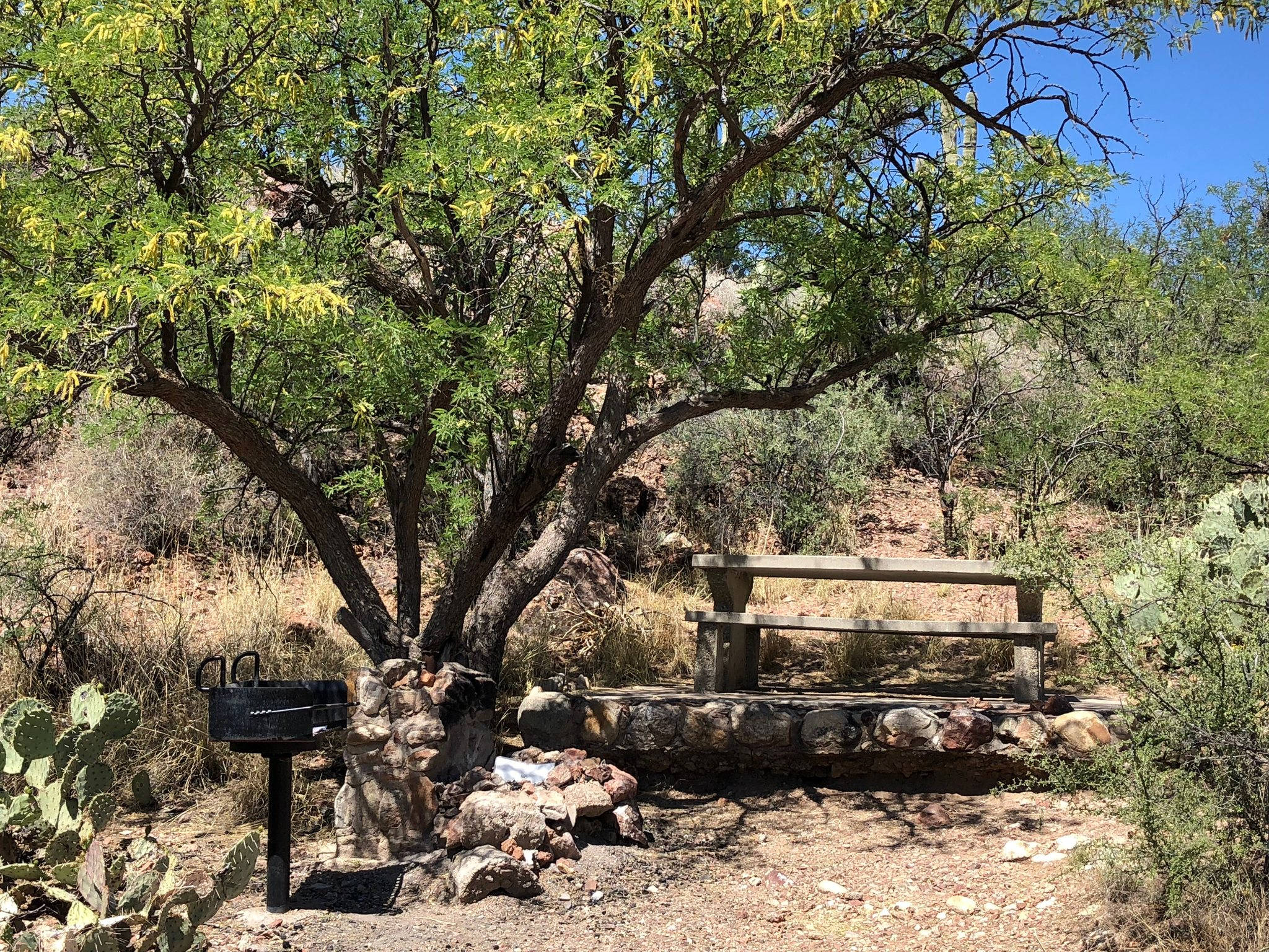 Colossal Cave Campground