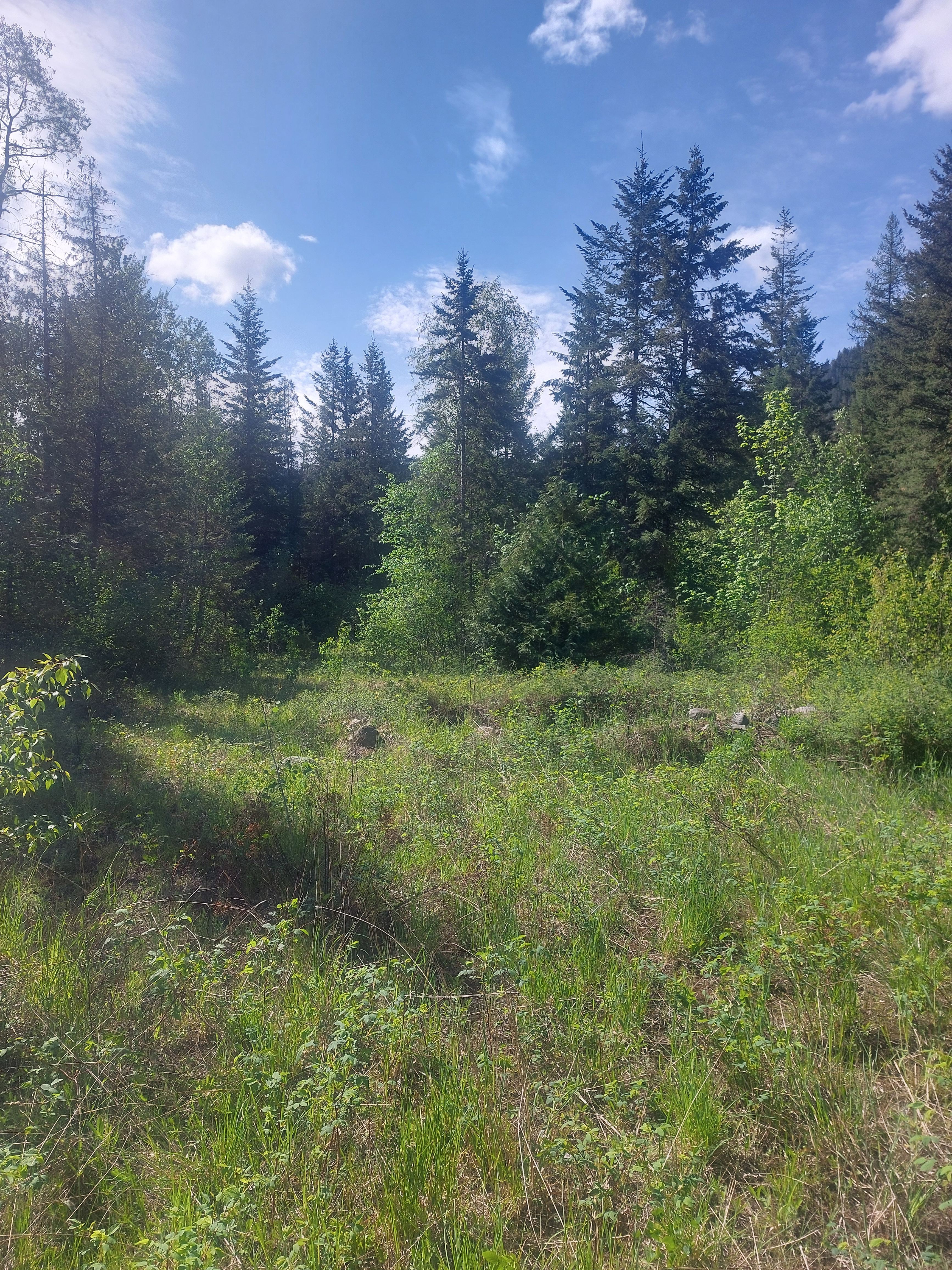 Creeksong Campground