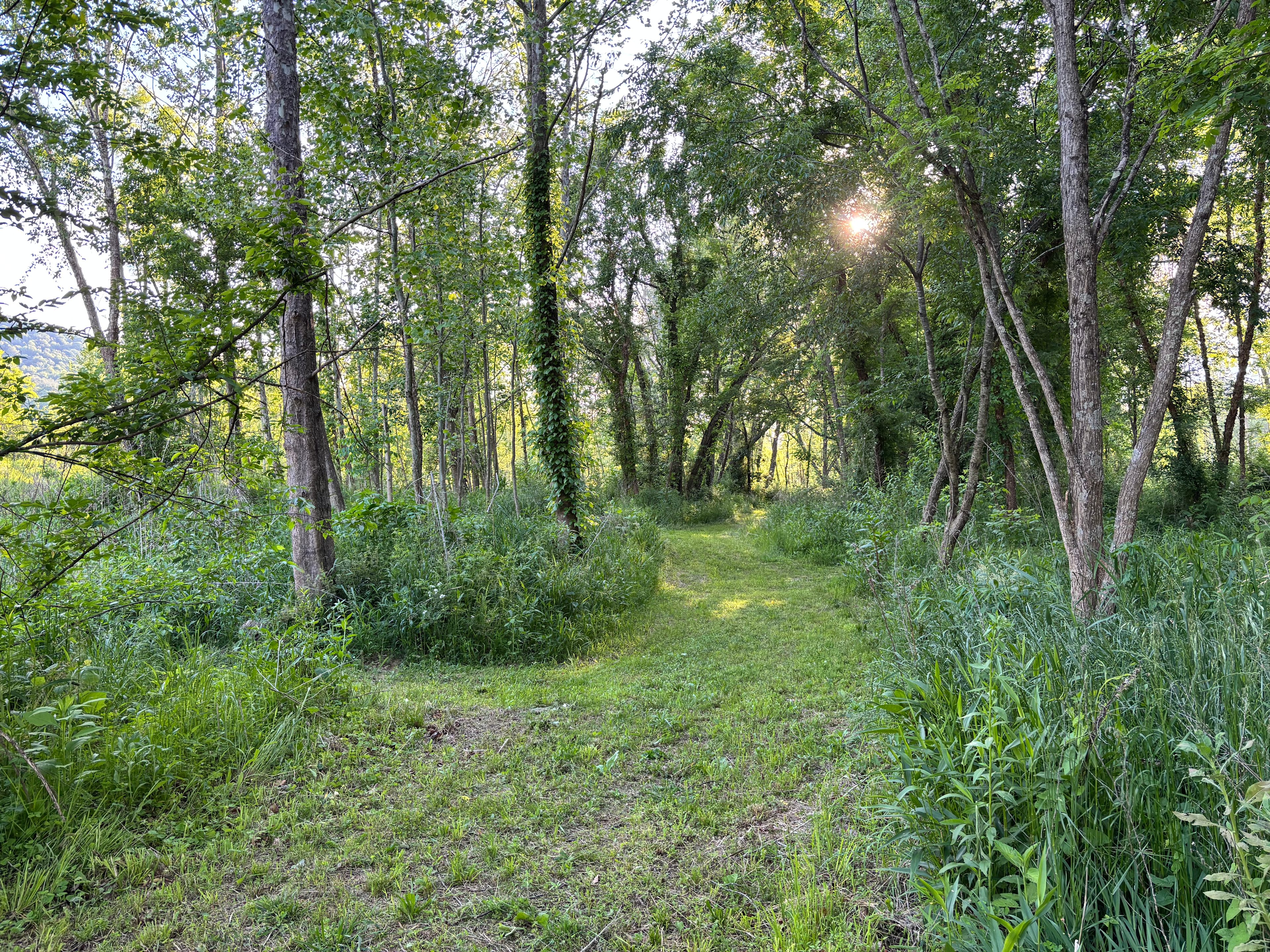 Little Farm - Swannanoa