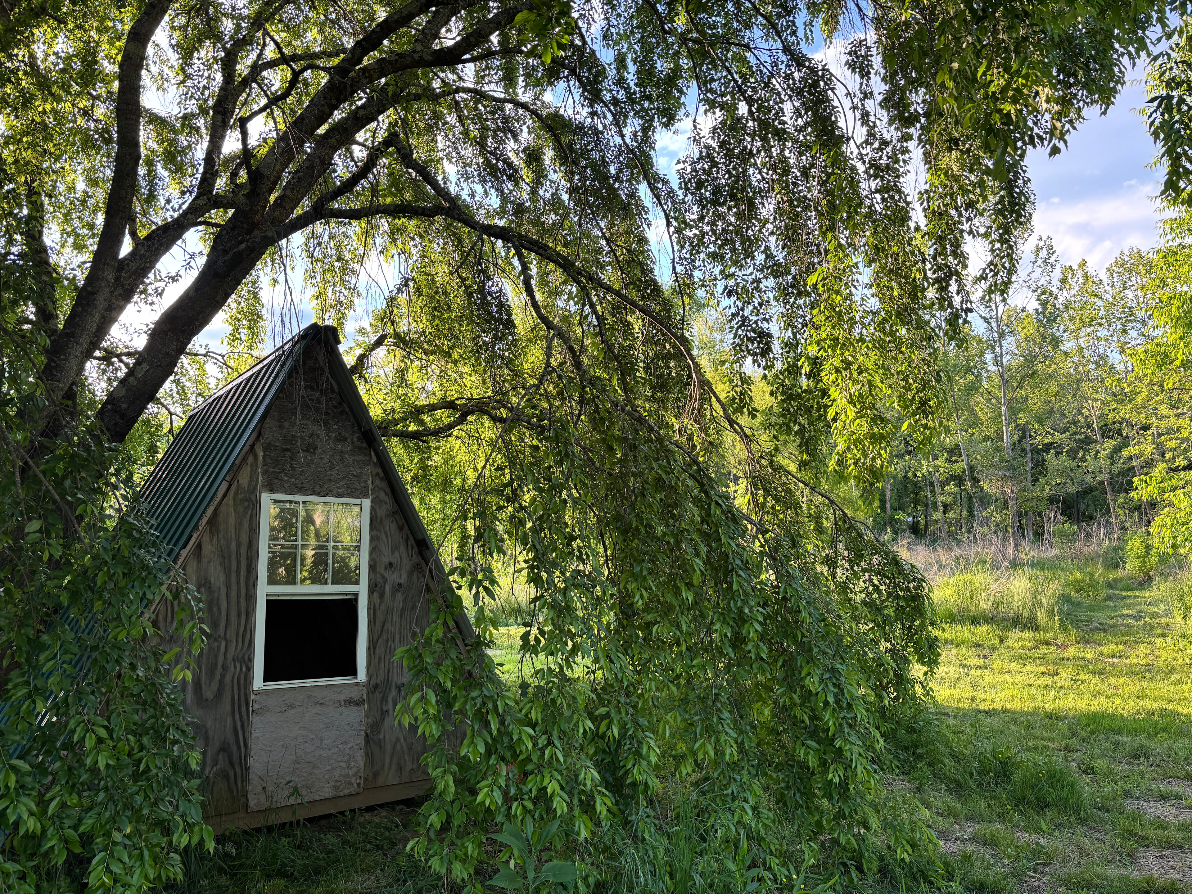 Little Farm - Swannanoa