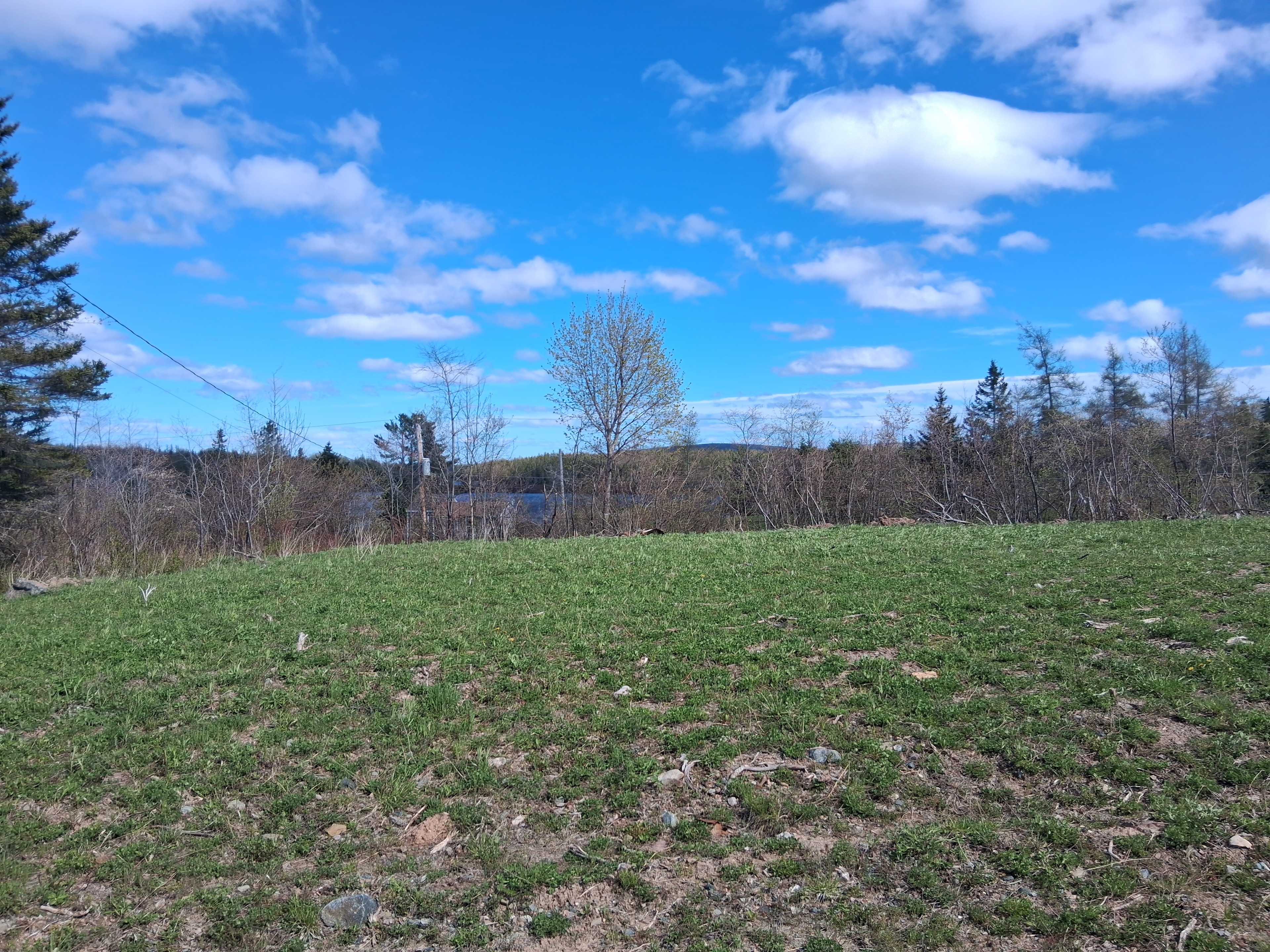 Site 1