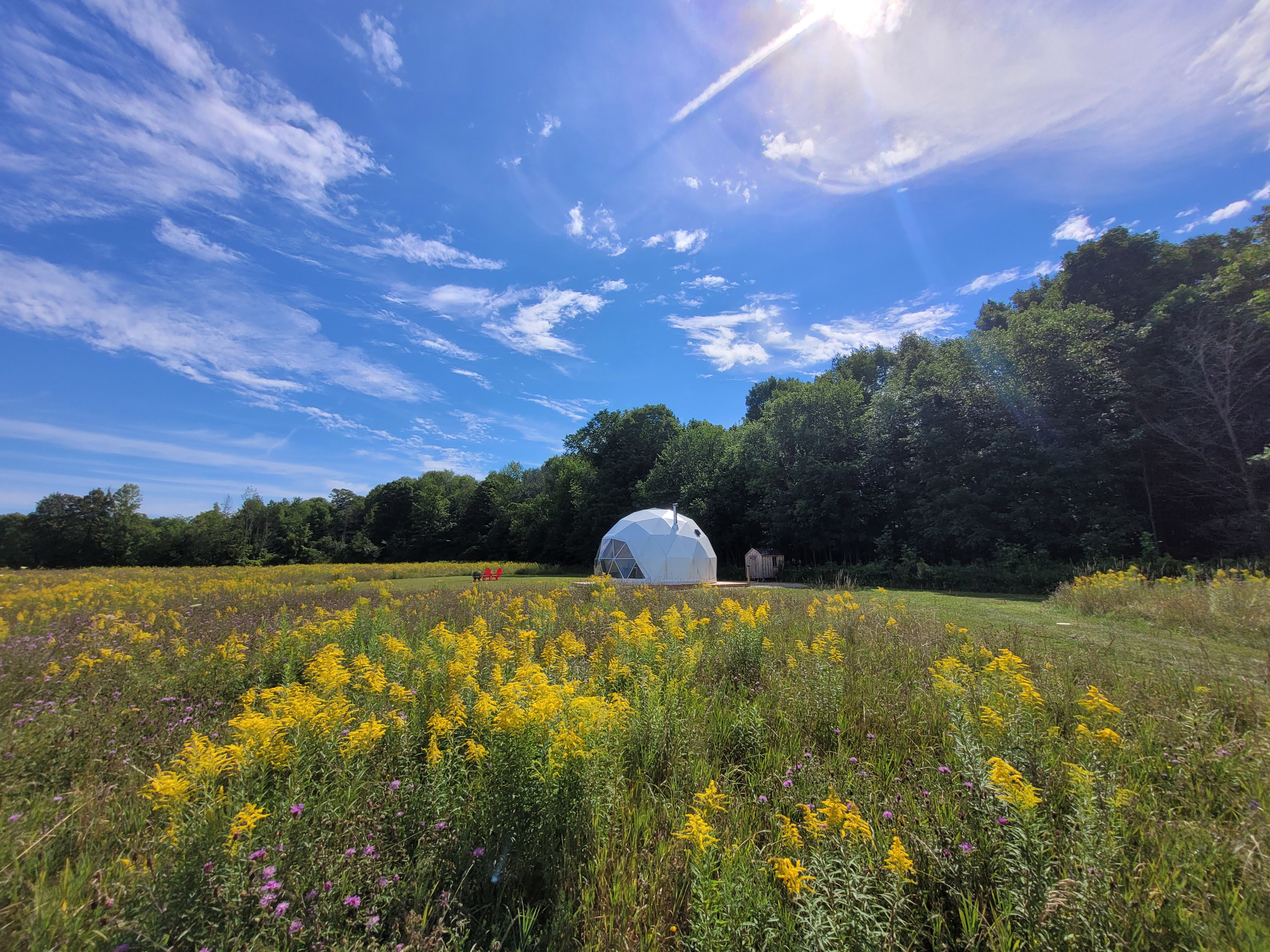 Bubble Grove Nature Escape