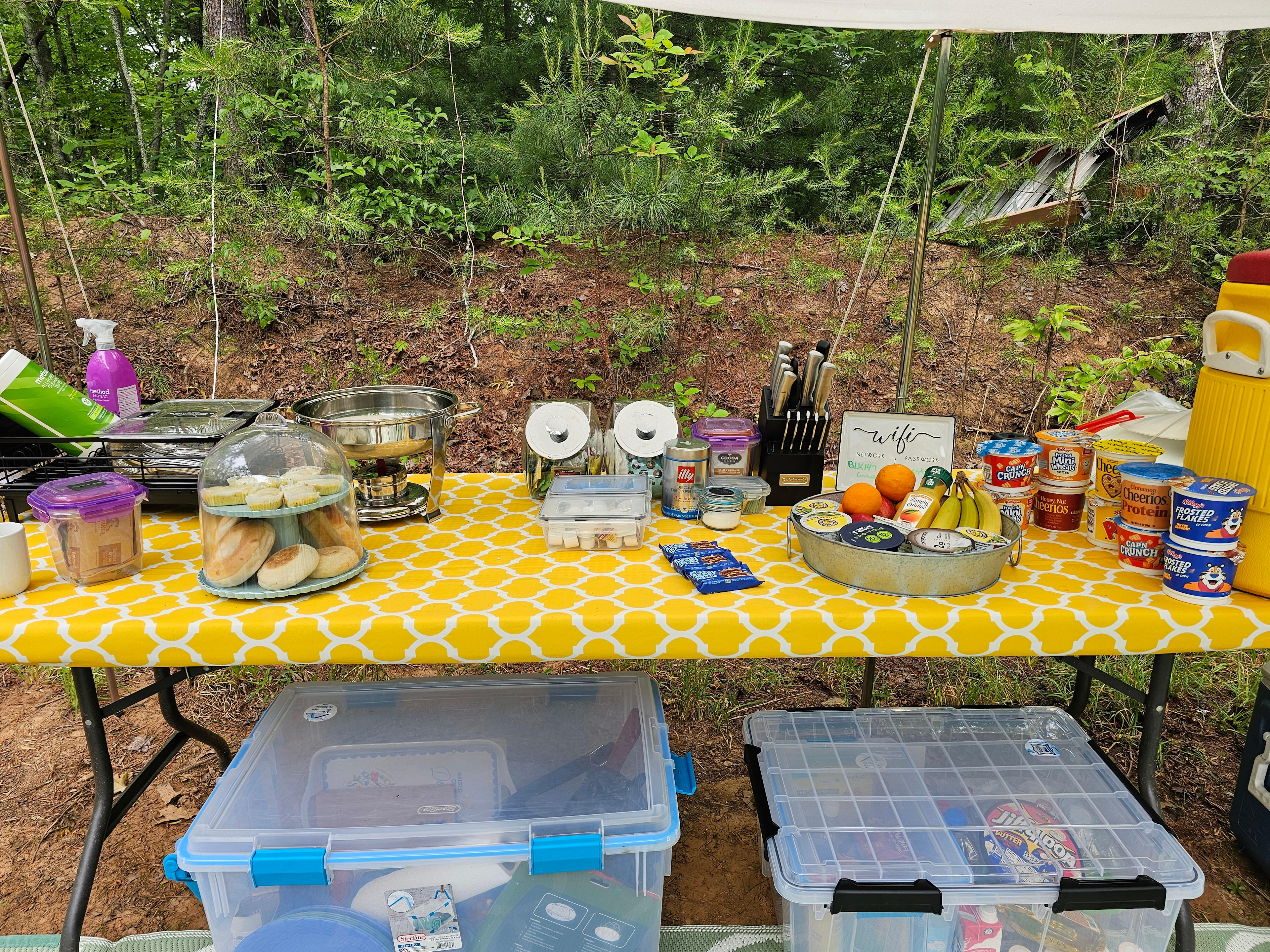 The breakfast spread - see how many things you can find...
