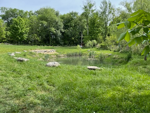 Tiny Farm Campground