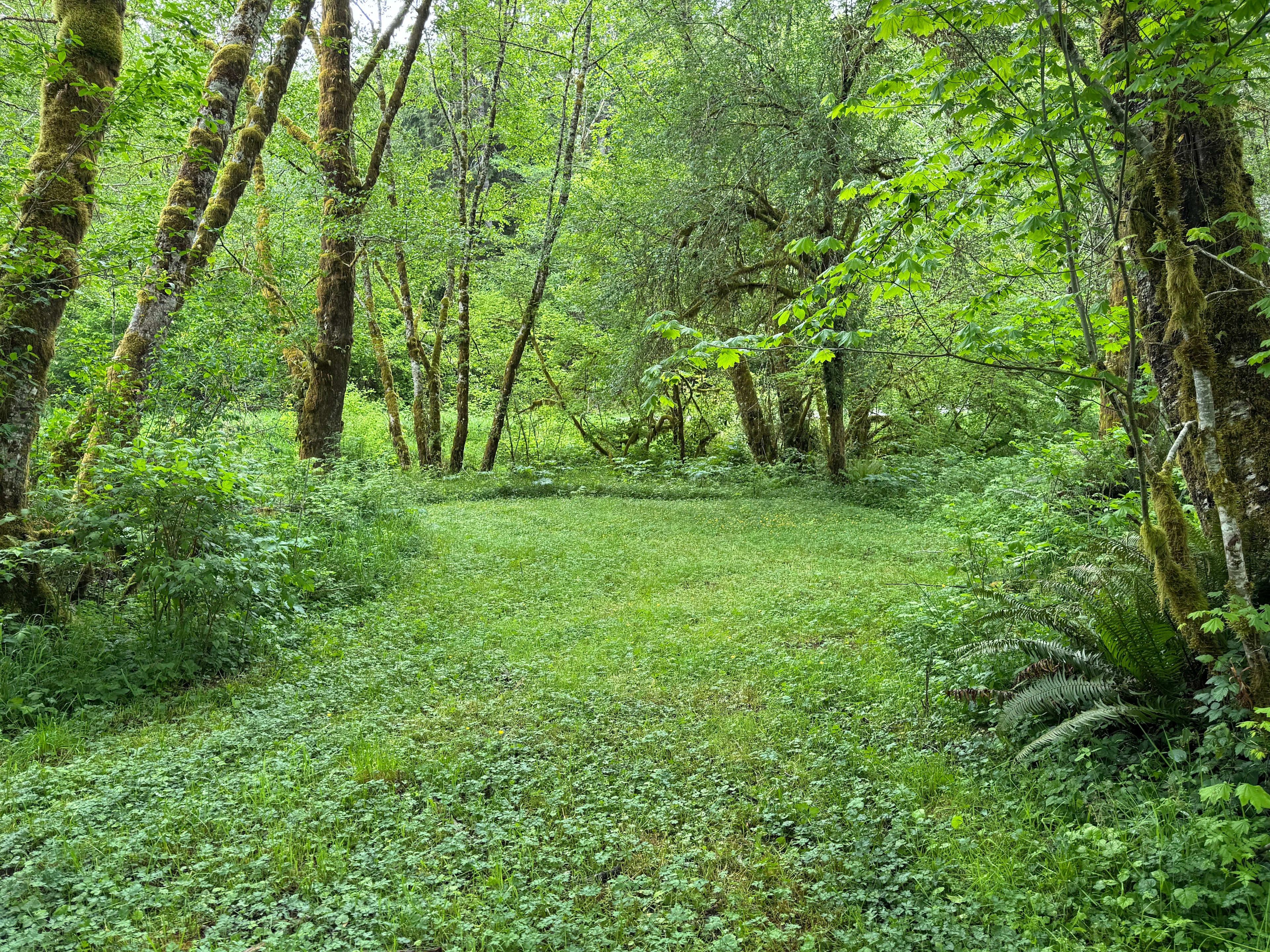 Community area, near creek. Now has small, covered gazebo. 
