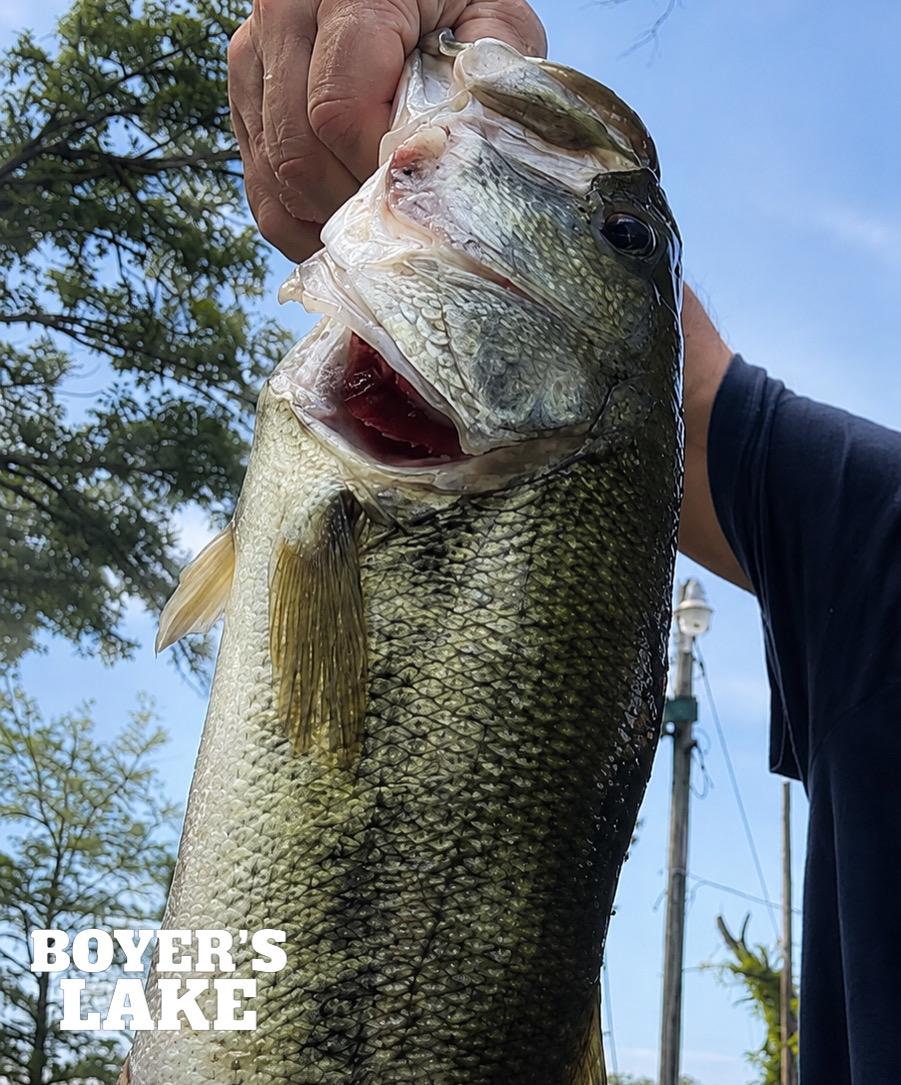 Boyer's Lake