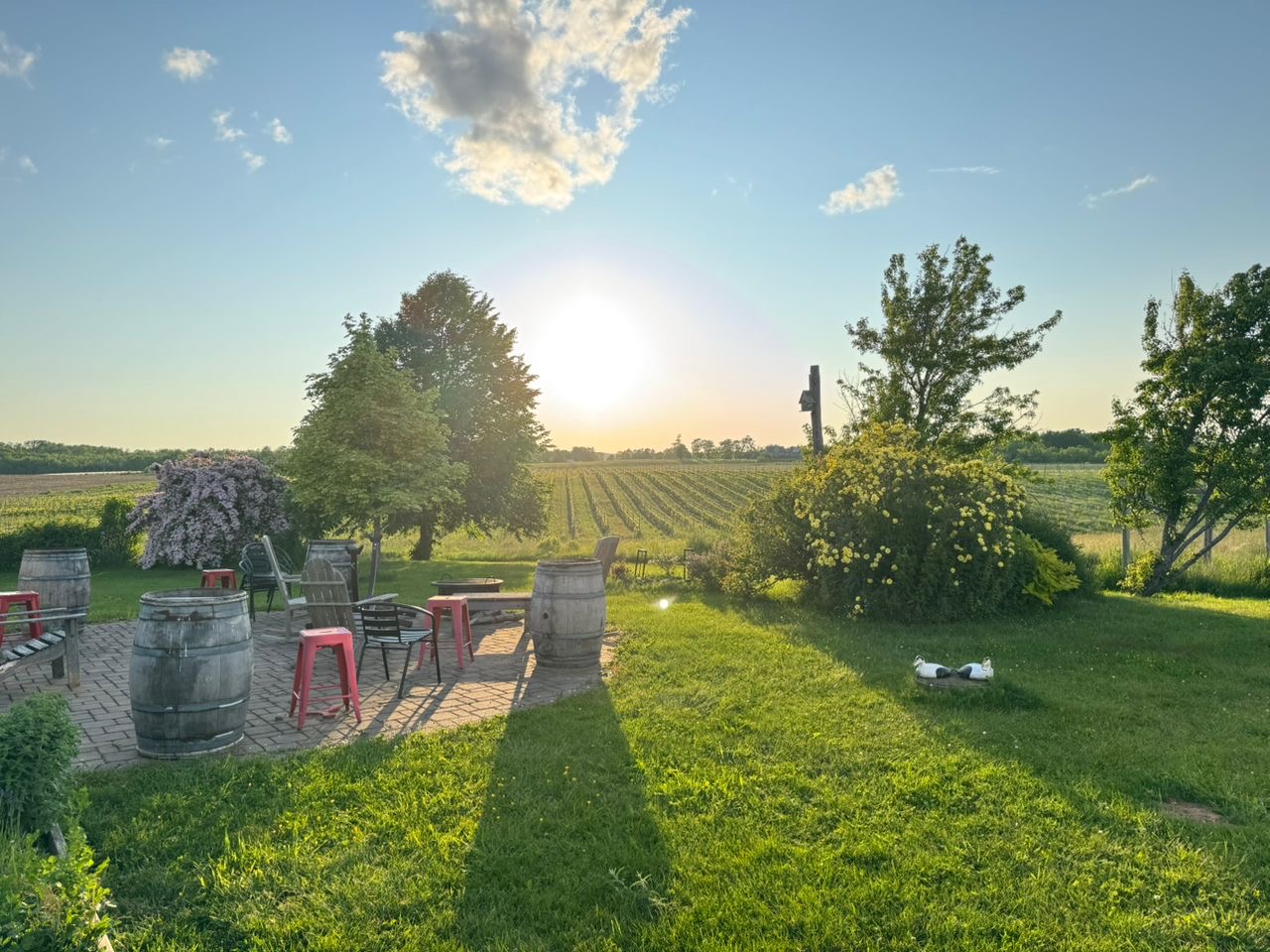 Mumana Vineyards