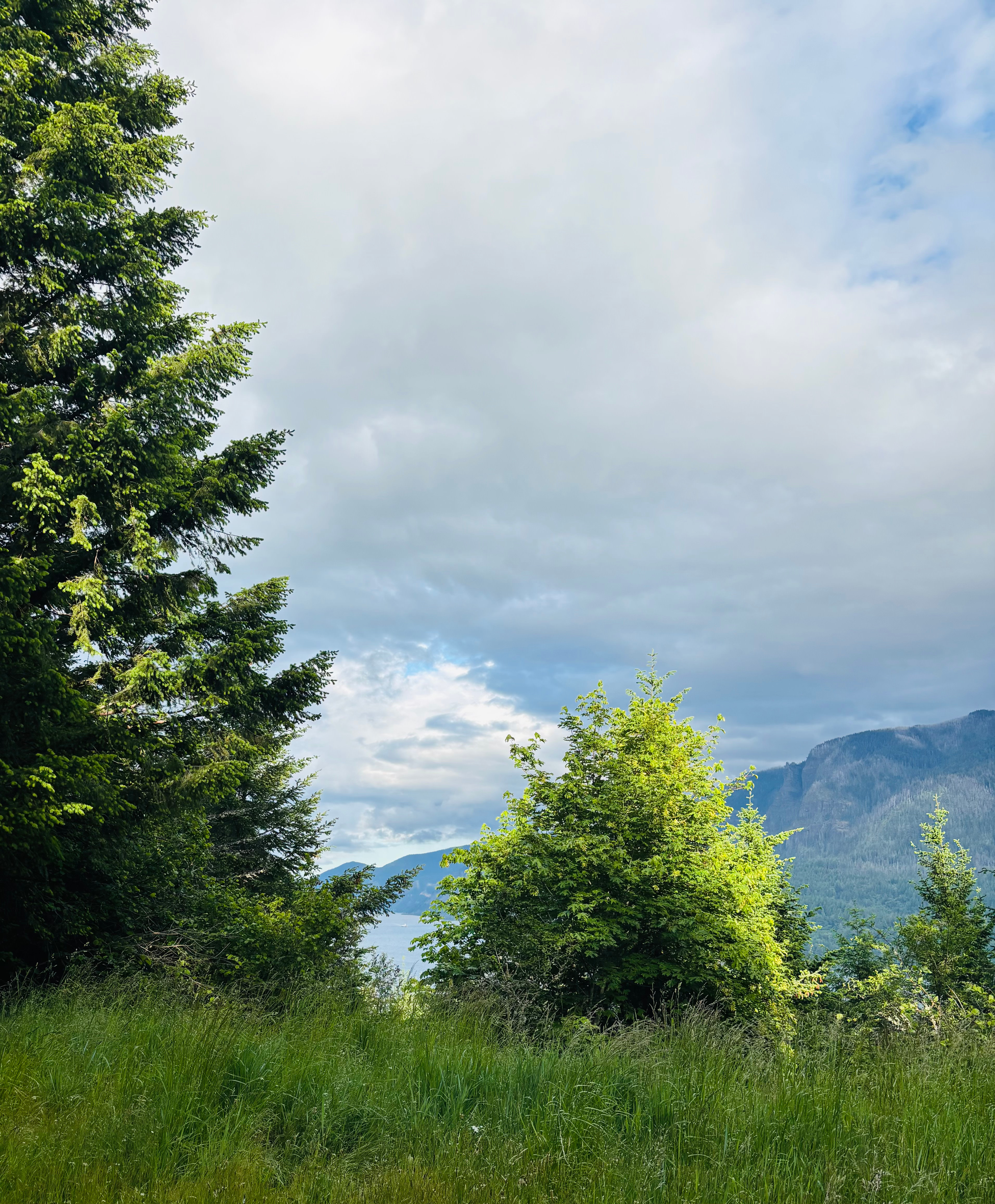 Columbia Gorge Family Preserve