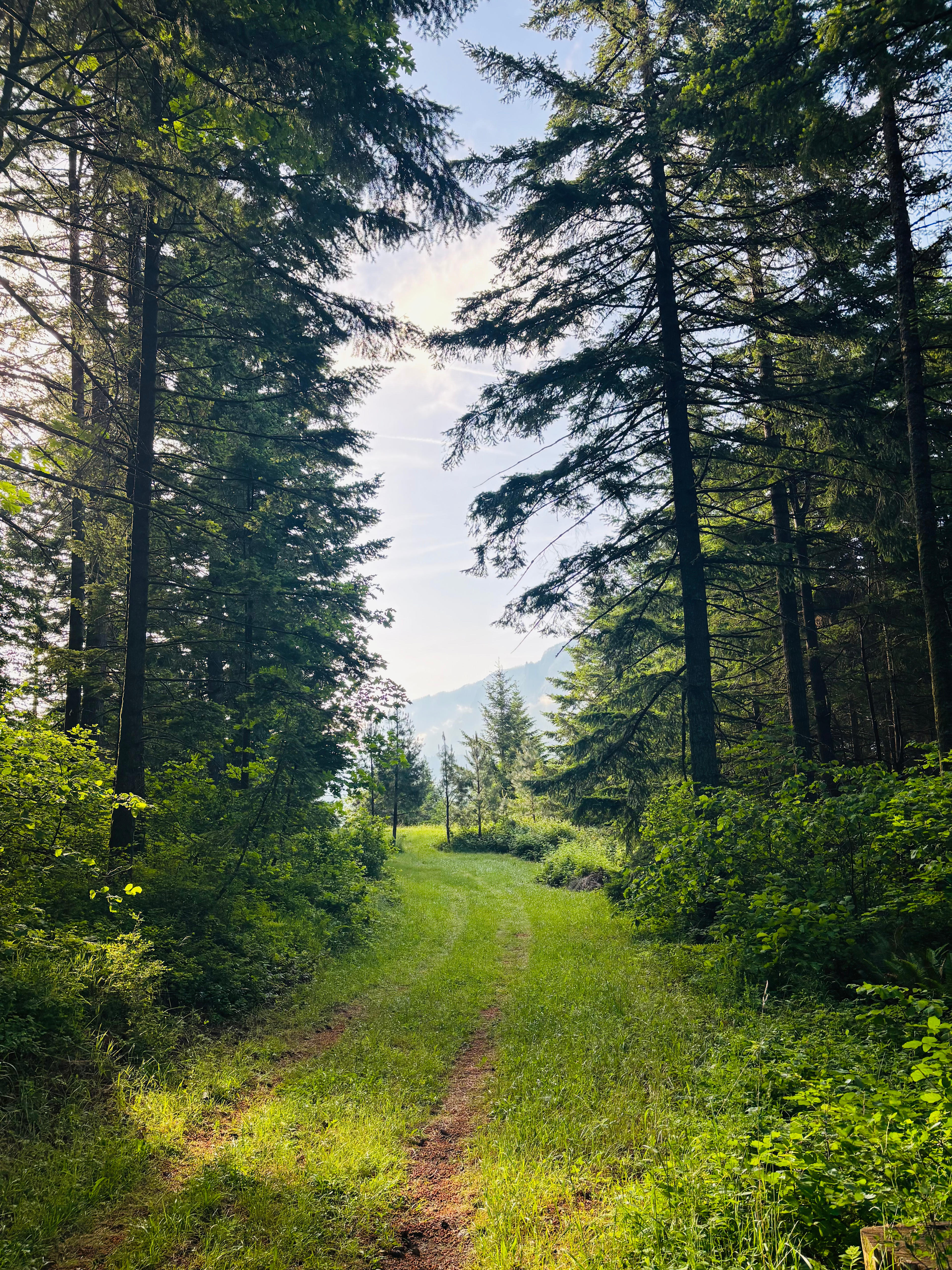 Columbia Gorge Family Preserve