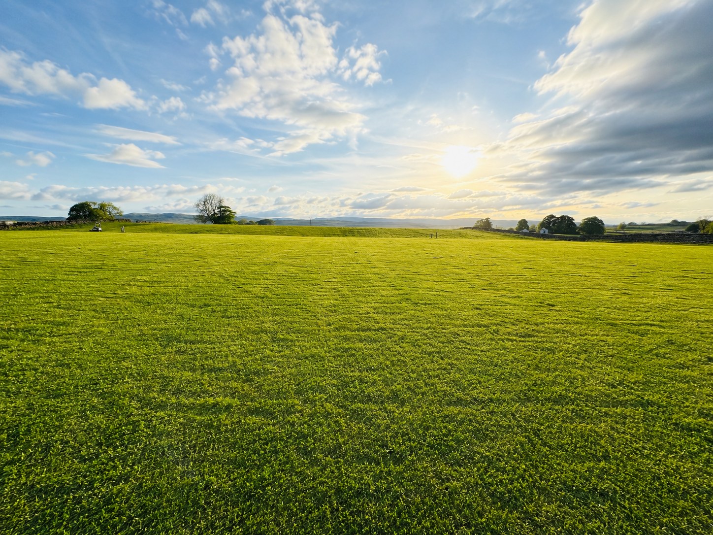 Lea field shap