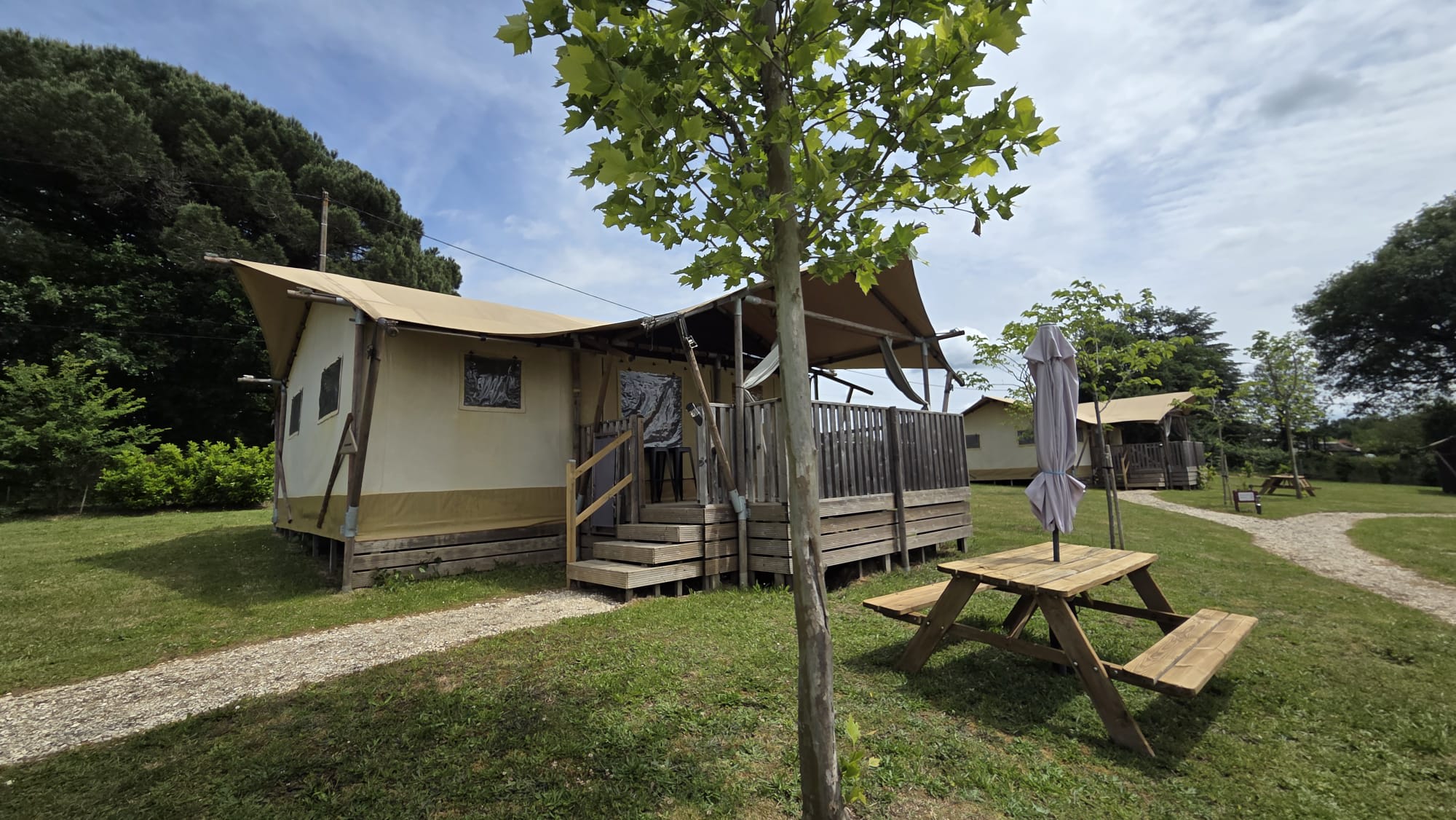 Lodge safari