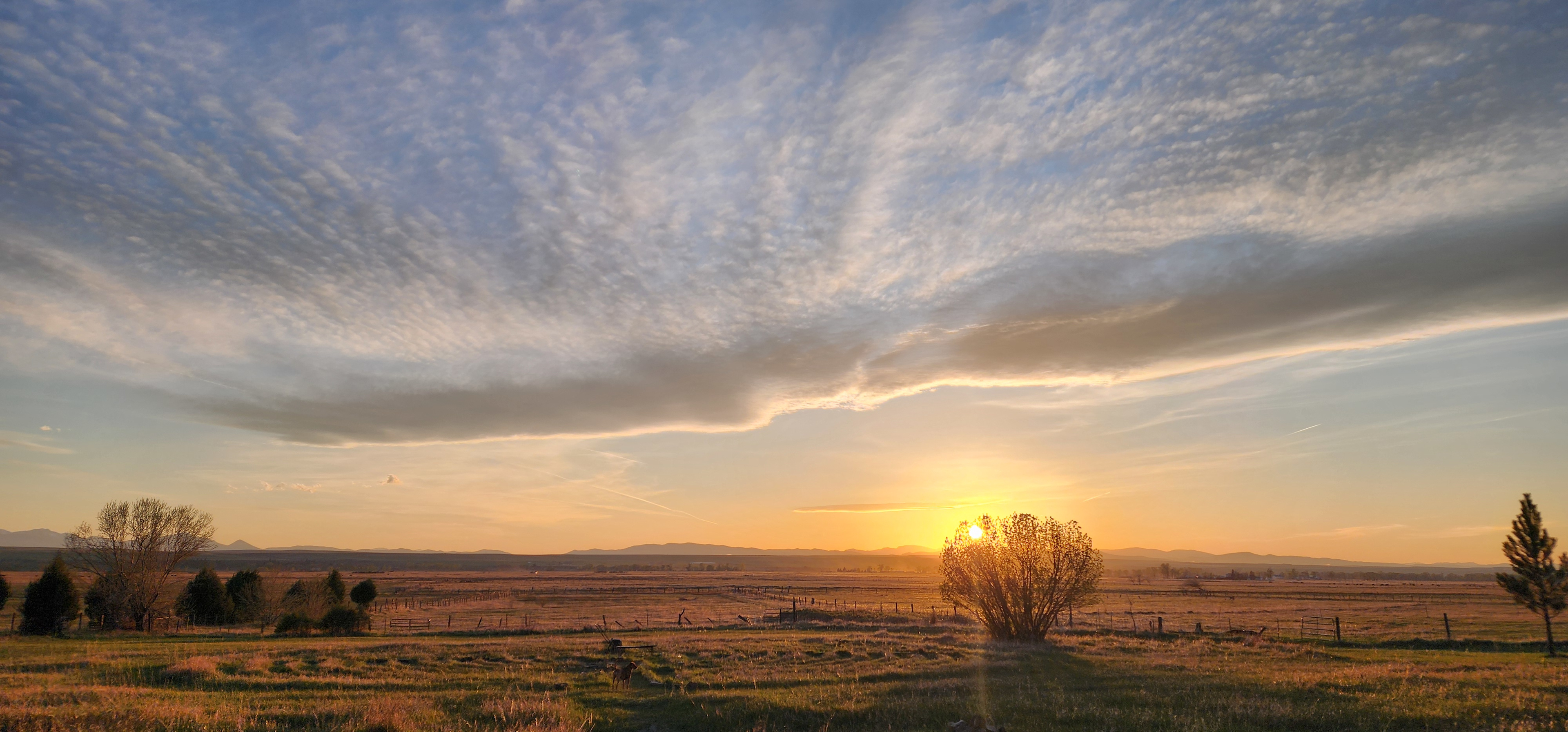 Buffalo Jump Vacation