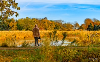 “Fox Creek in peak autumn — a favourite spot for photographers and nature lovers.