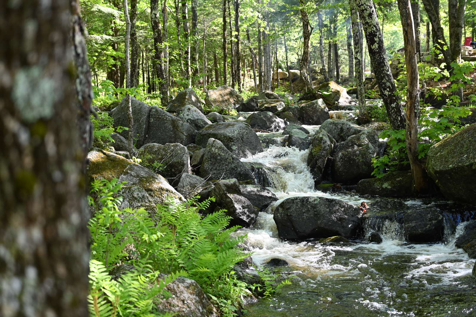 Stonybrook Cascade