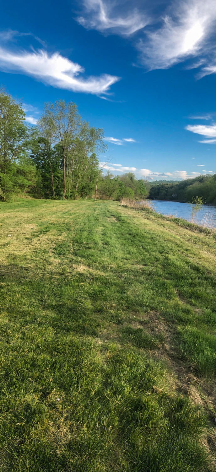 Riverfront camp sites 