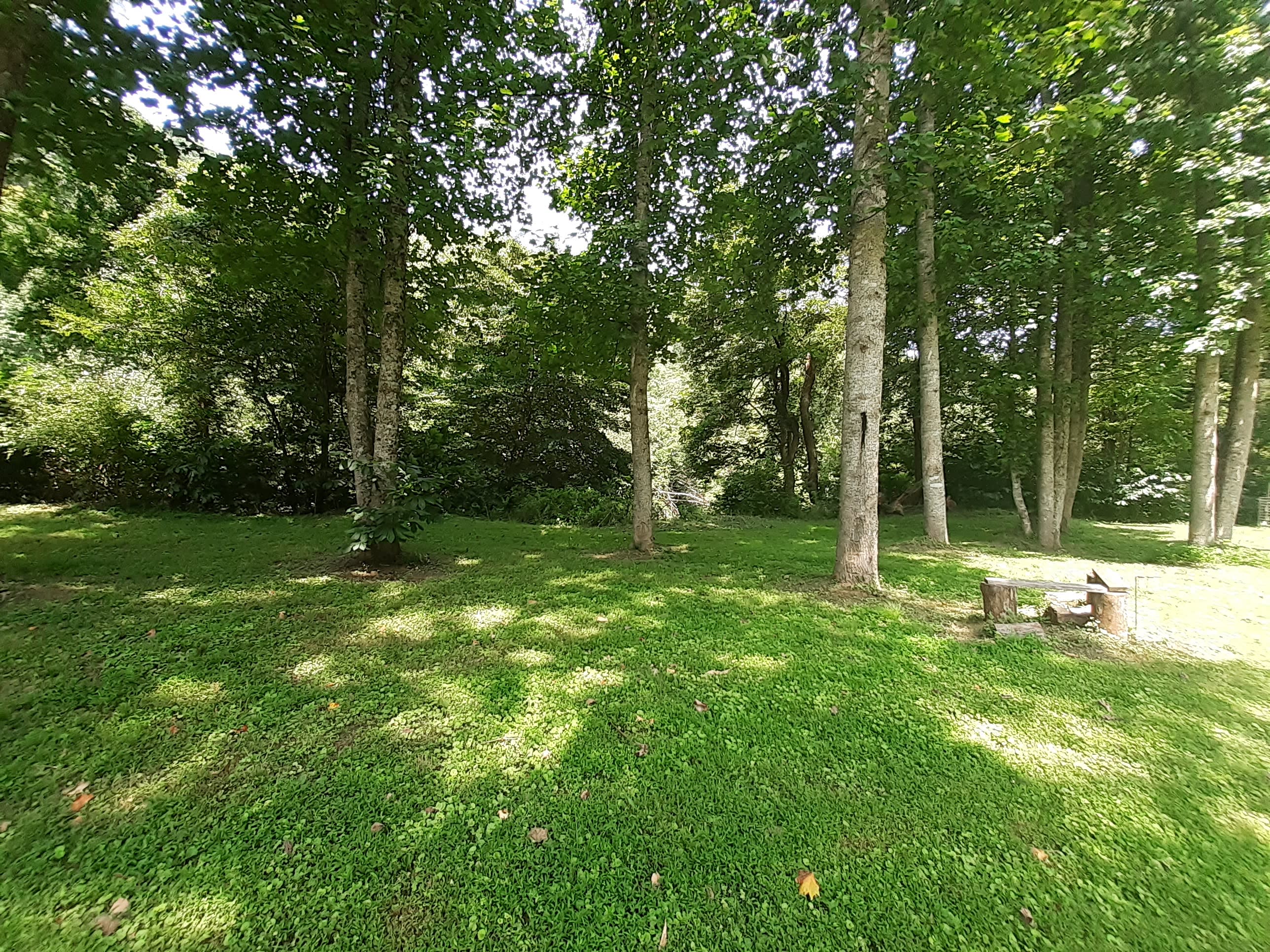 Black Elk Campground