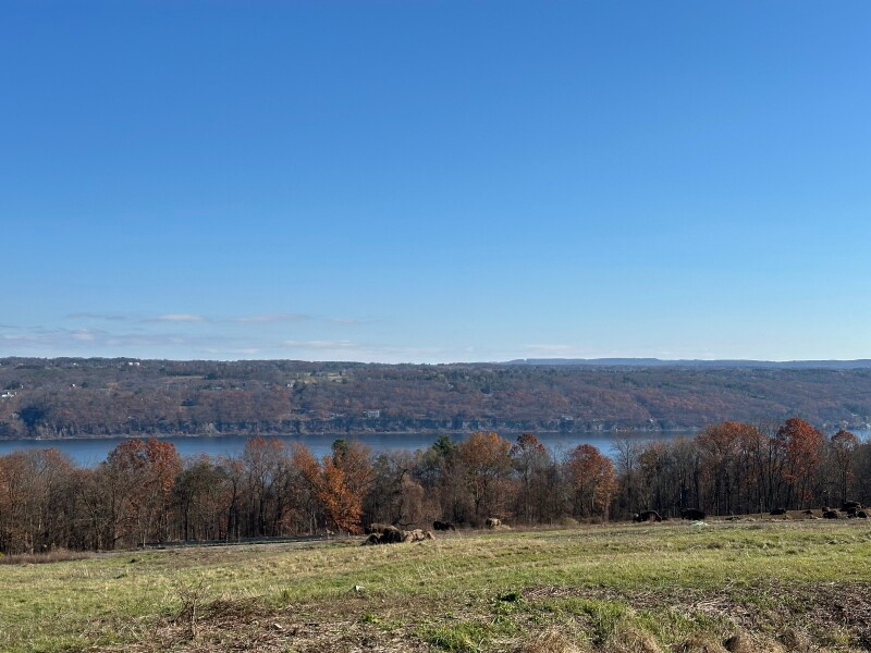 Glenwood Farms - Quiet Lakeview