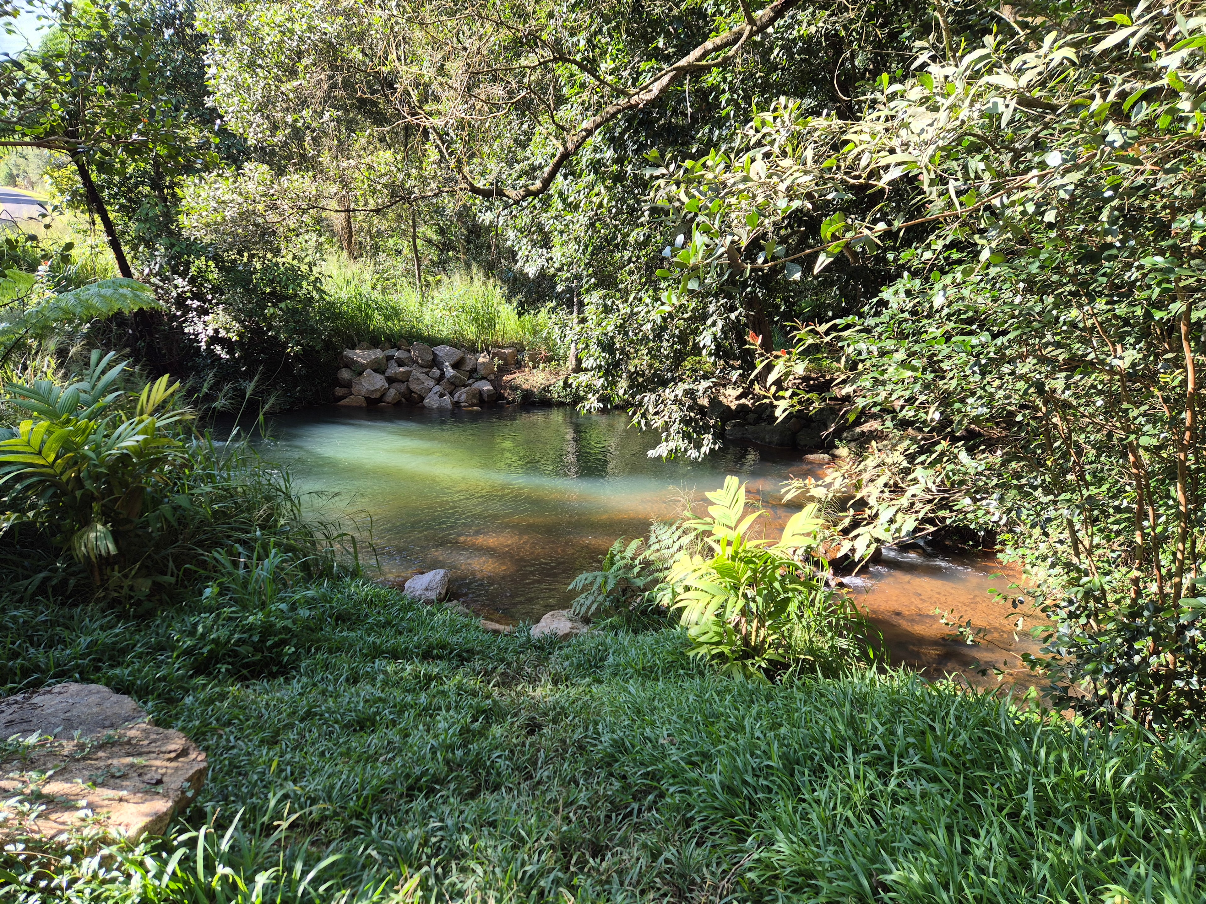Gillies Creek Clearing