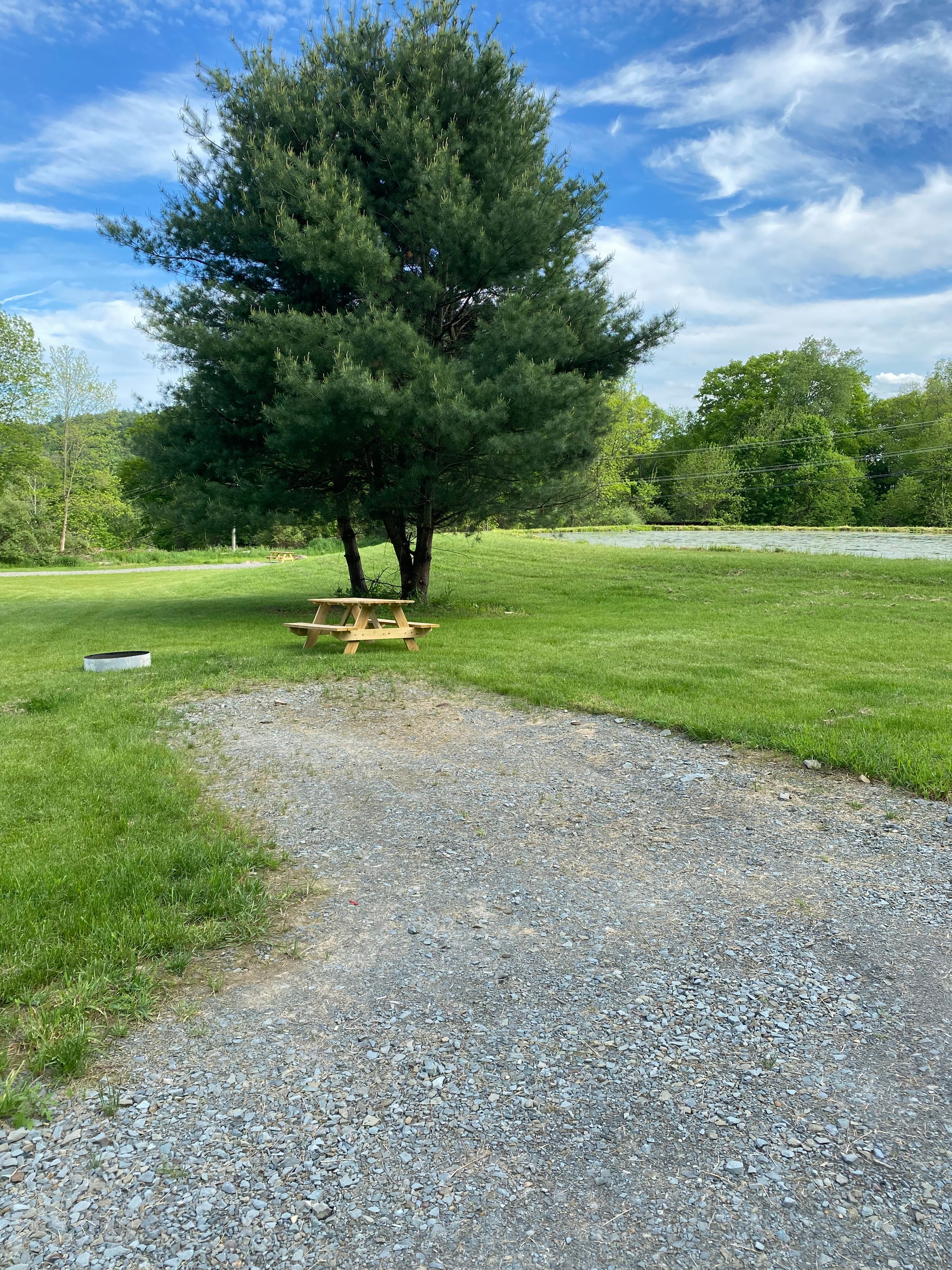 Area around pond