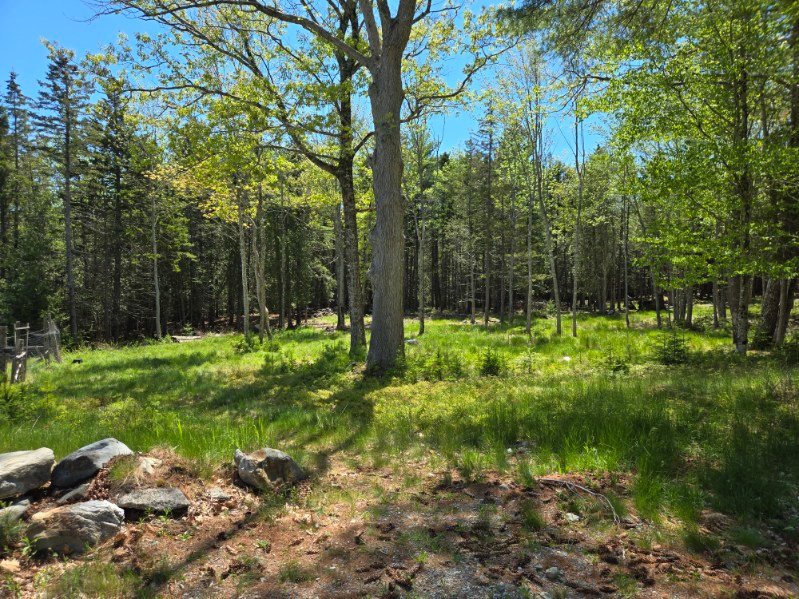 Acadia Retreat