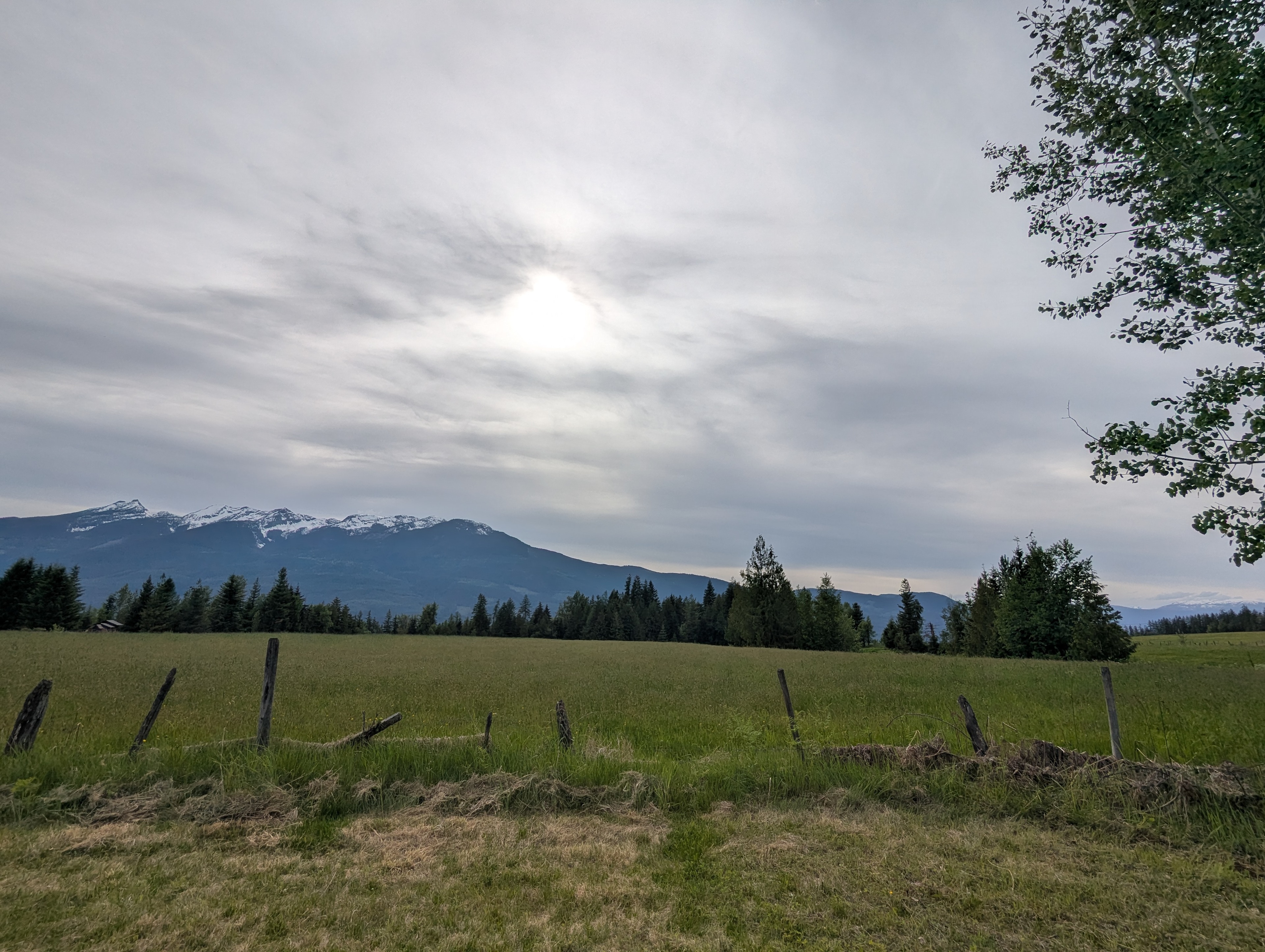 View from the west side towards the west. The is is the neighbor's hay field, Saddle Mountain.