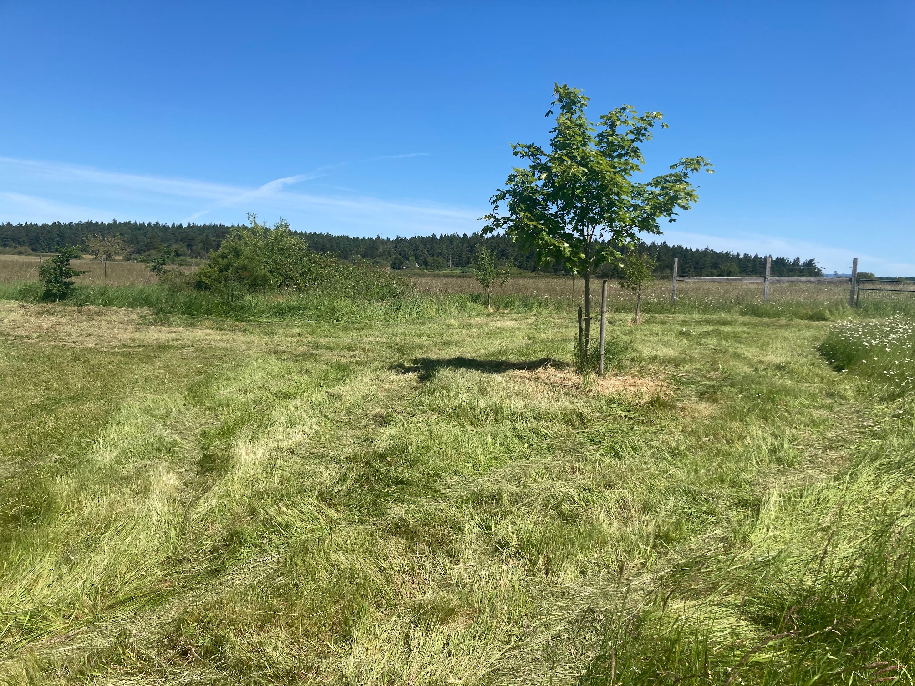 Lopez Island Field Camp