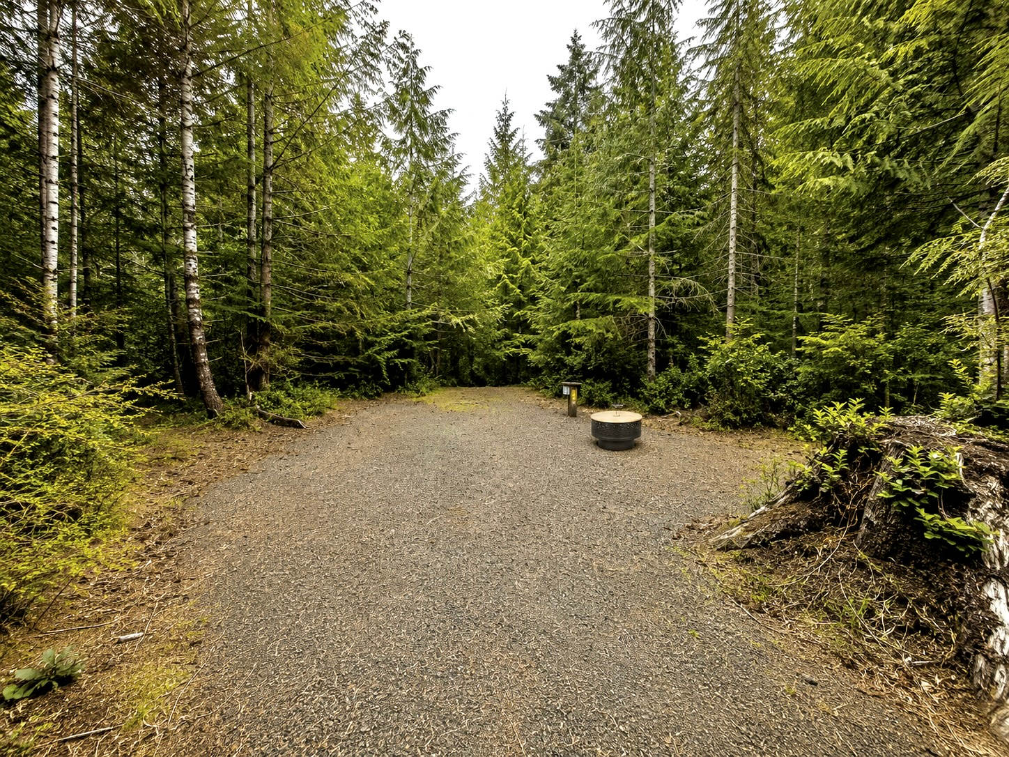 Tucked beneath towering alders and evergreens, this spacious forest campsite offers a quiet retreat surrounded by lush Pacific Northwest wilderness. The level gravel pad provides plenty of room to spread out, while the tucked-away fire pit and peaceful woodland setting create the perfect place to unwind after a day of exploring.