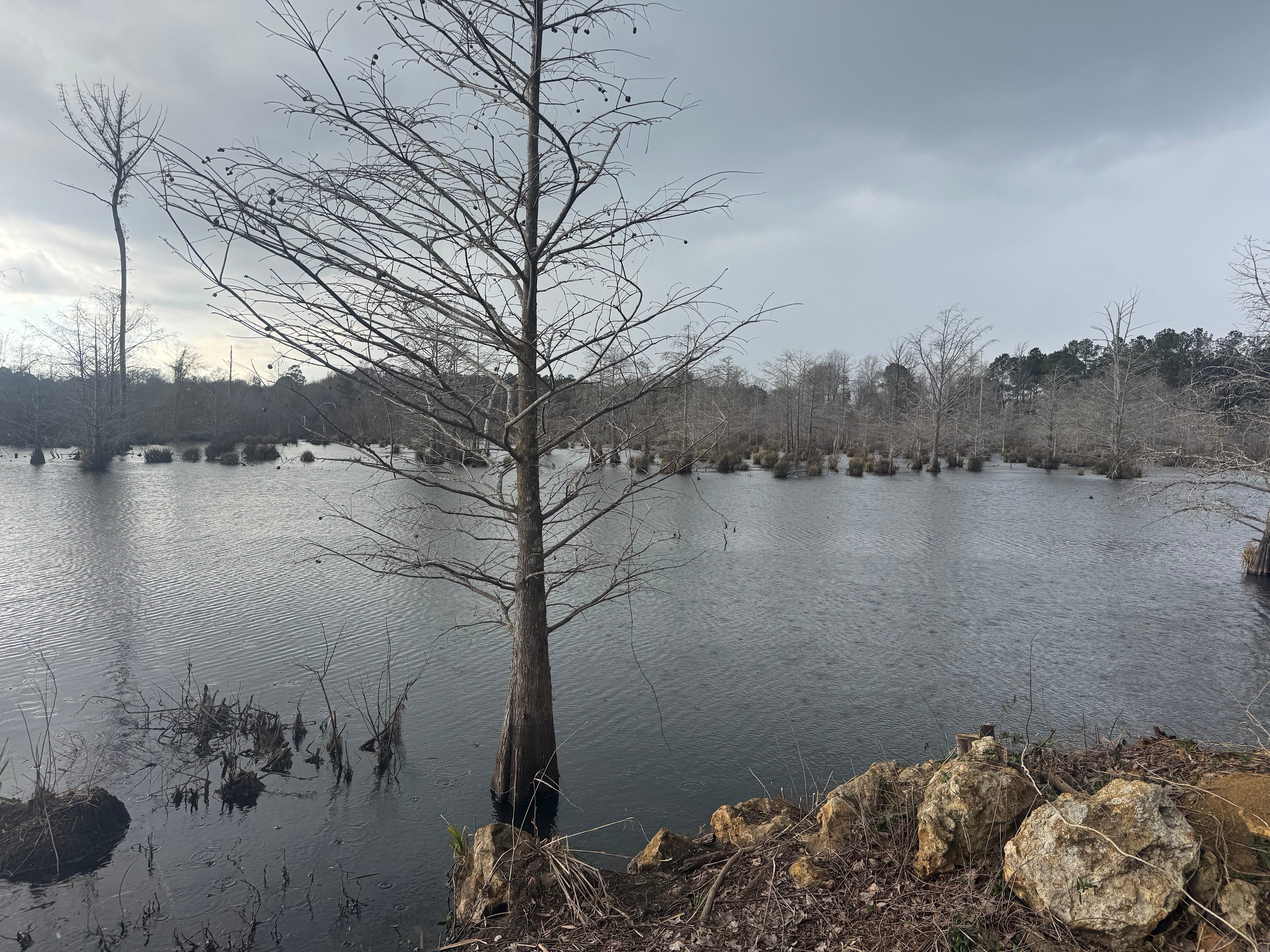 Brown Place