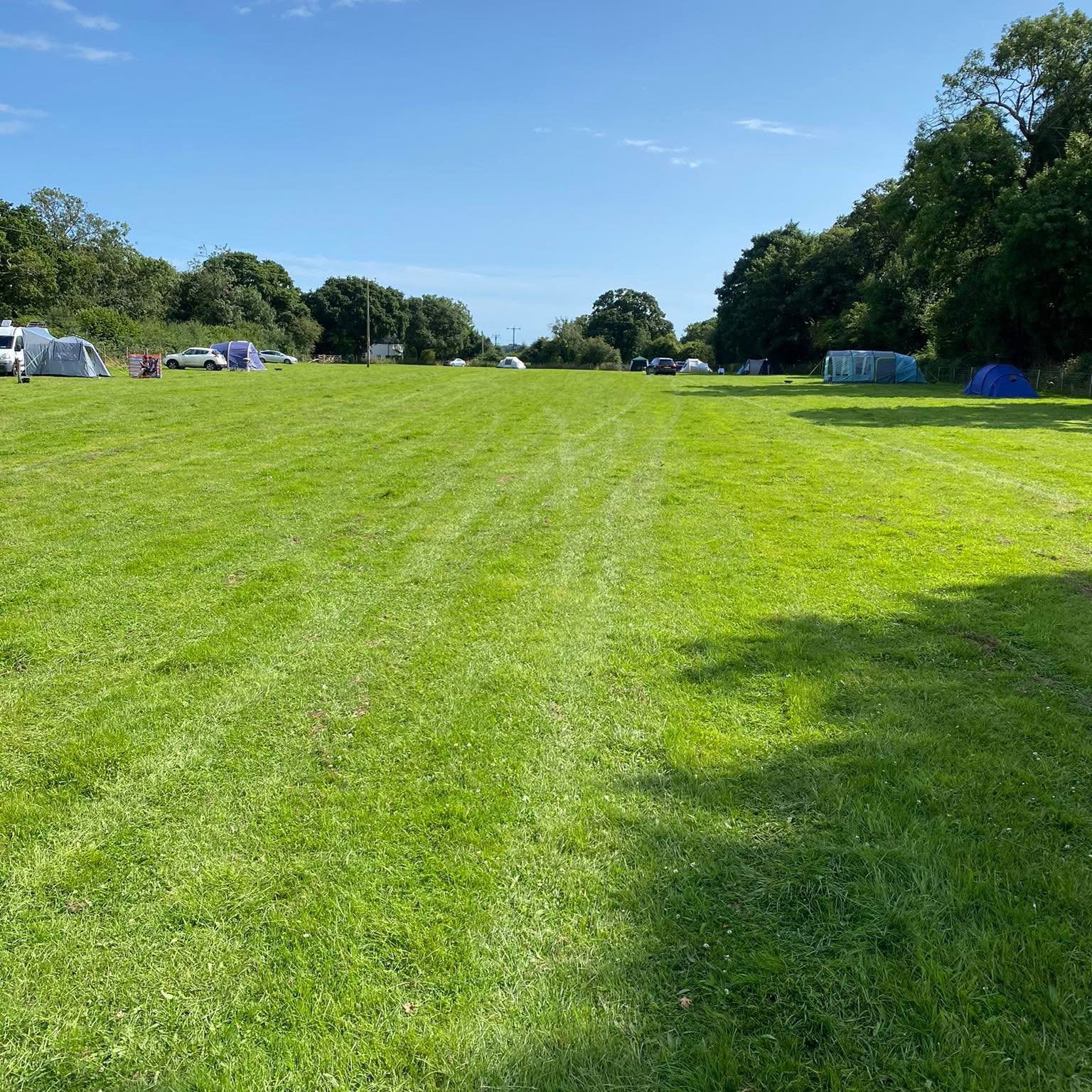 New Forest Rustic Glamping