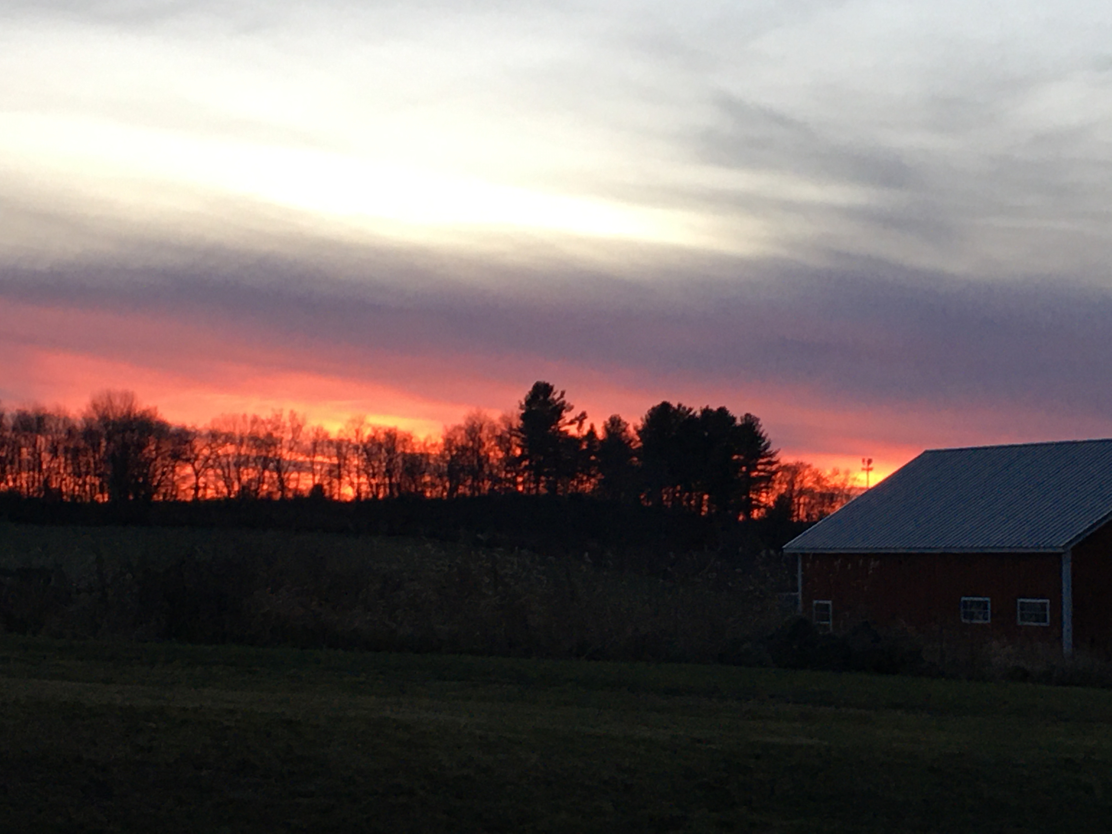 Pleasant View Farm