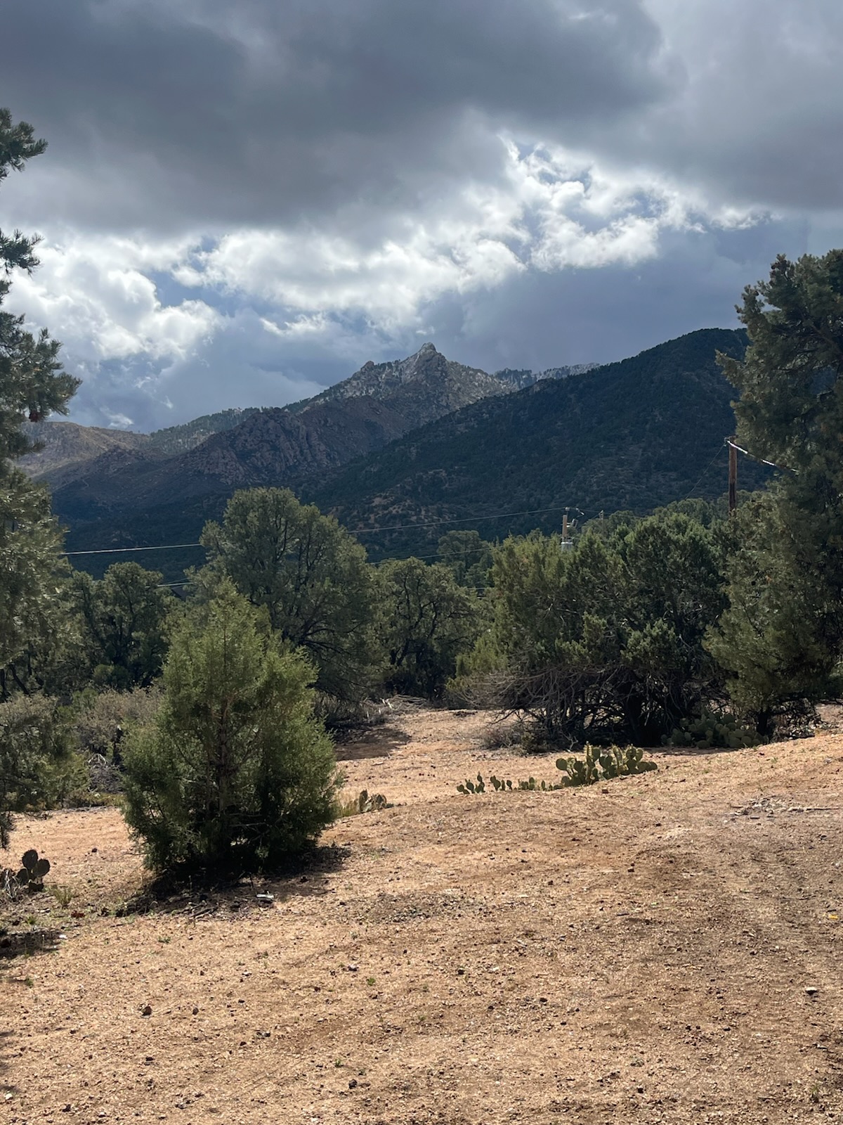 THUNDERHEAD CAMP