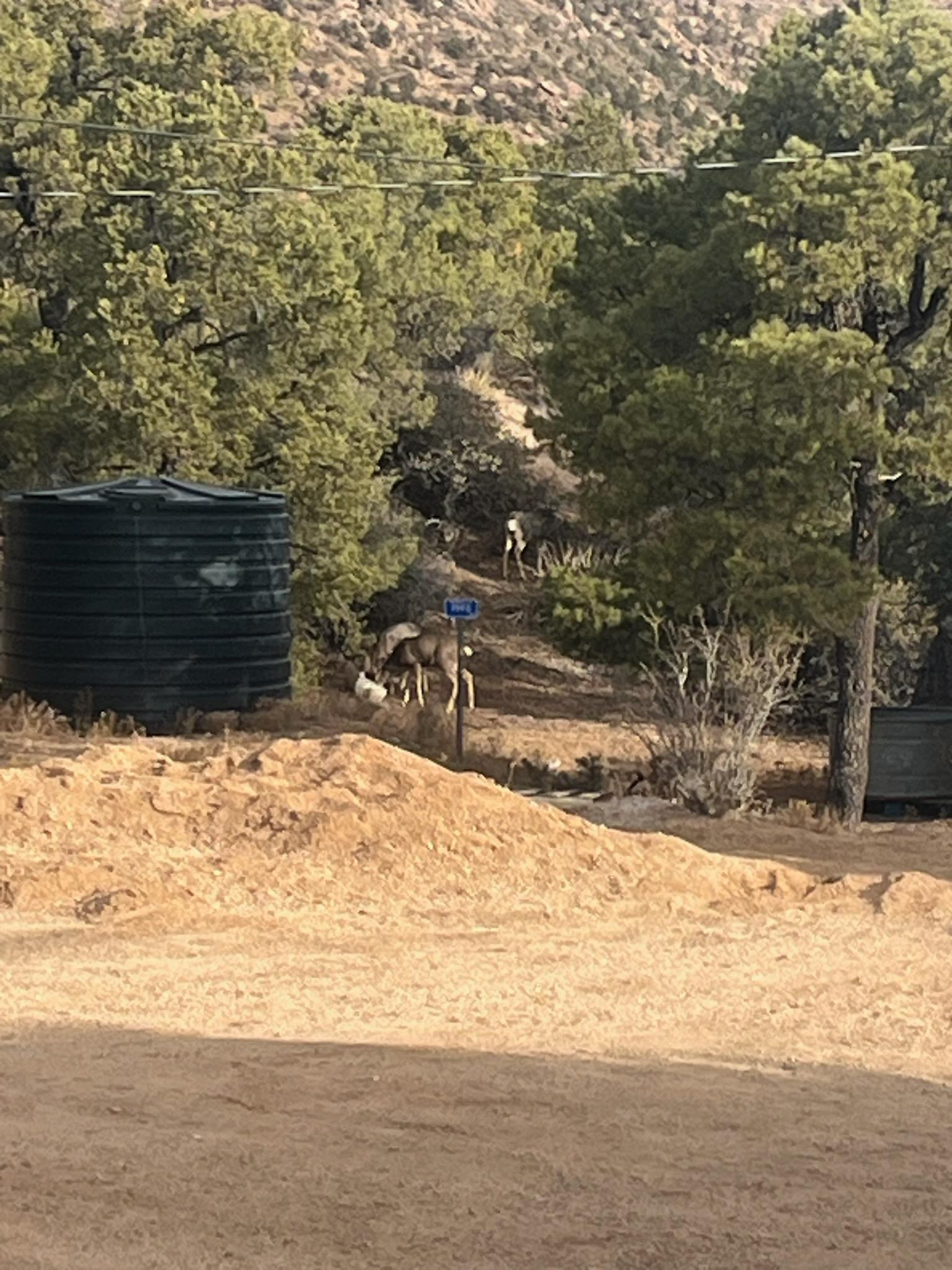 THUNDERHEAD CAMP