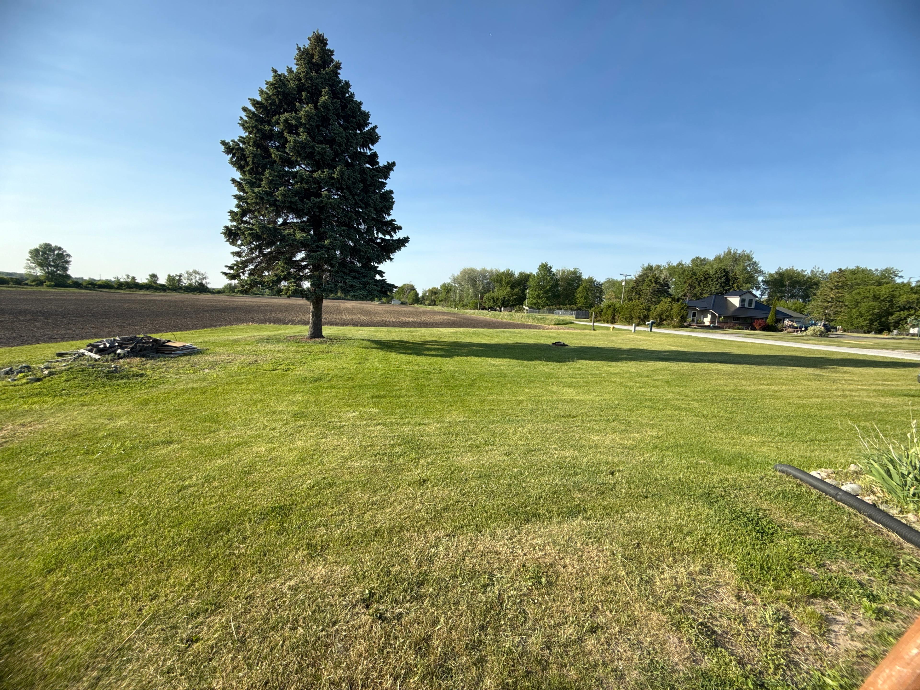 Twin pines on Elevator