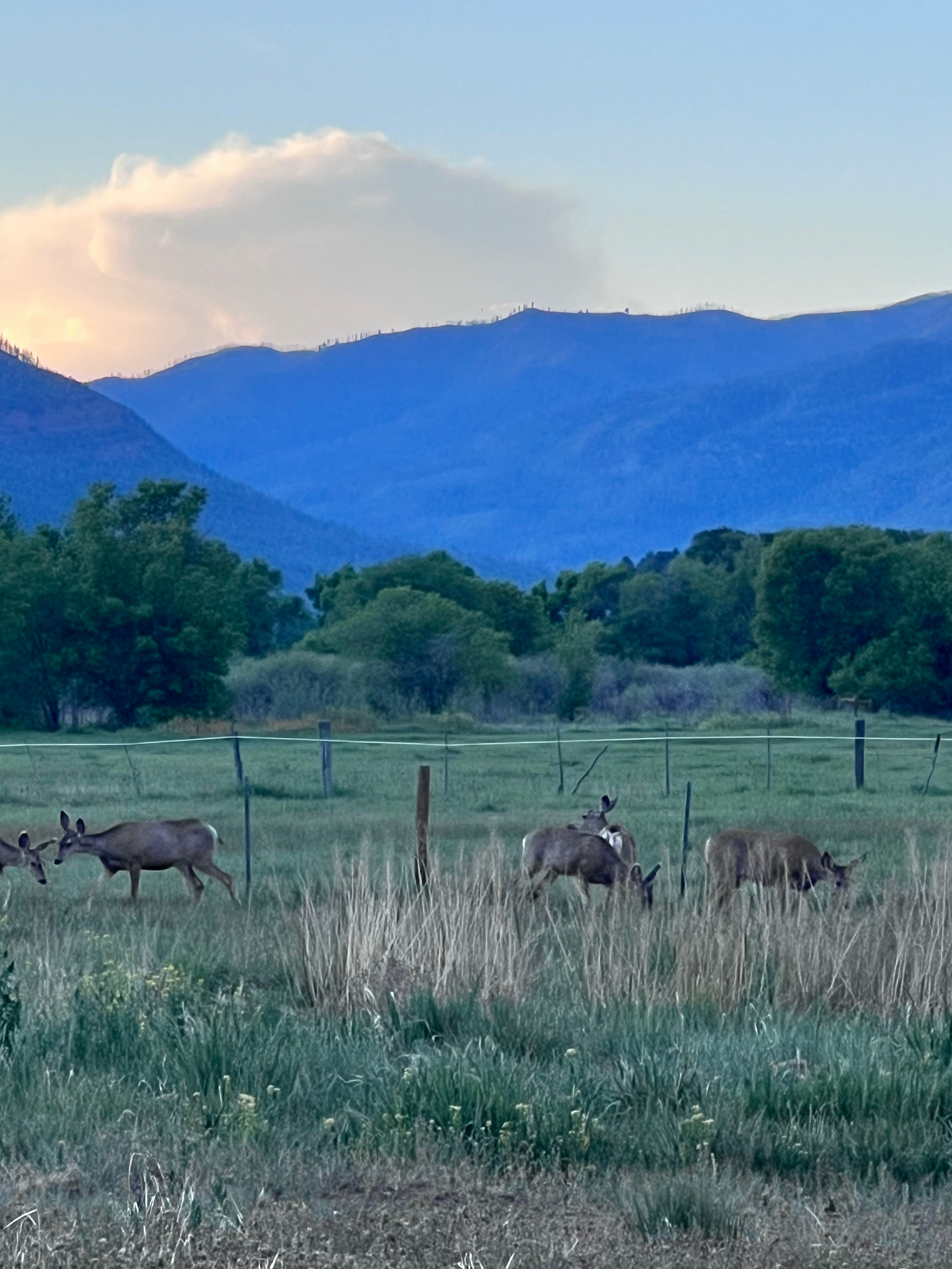The Perfect Escape. Durango Co