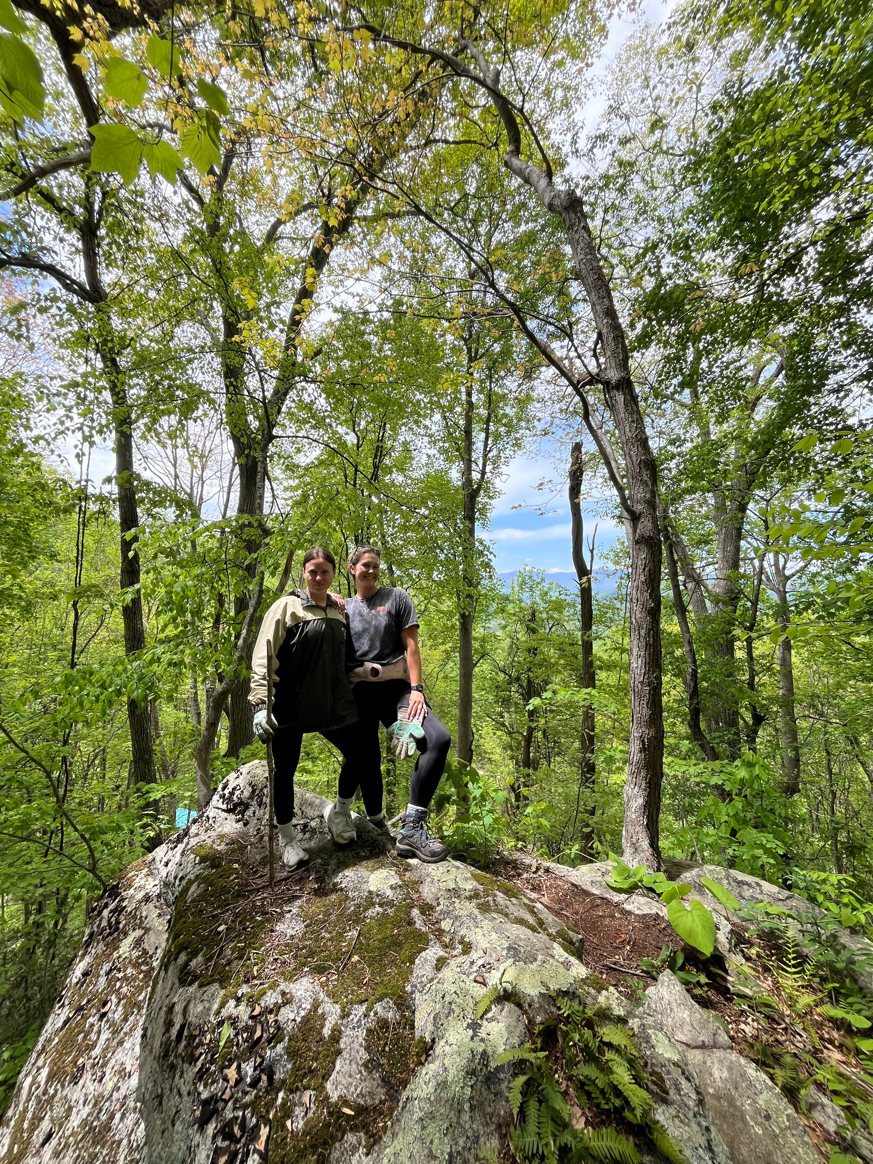 50-Acres of Sunset near Smokies