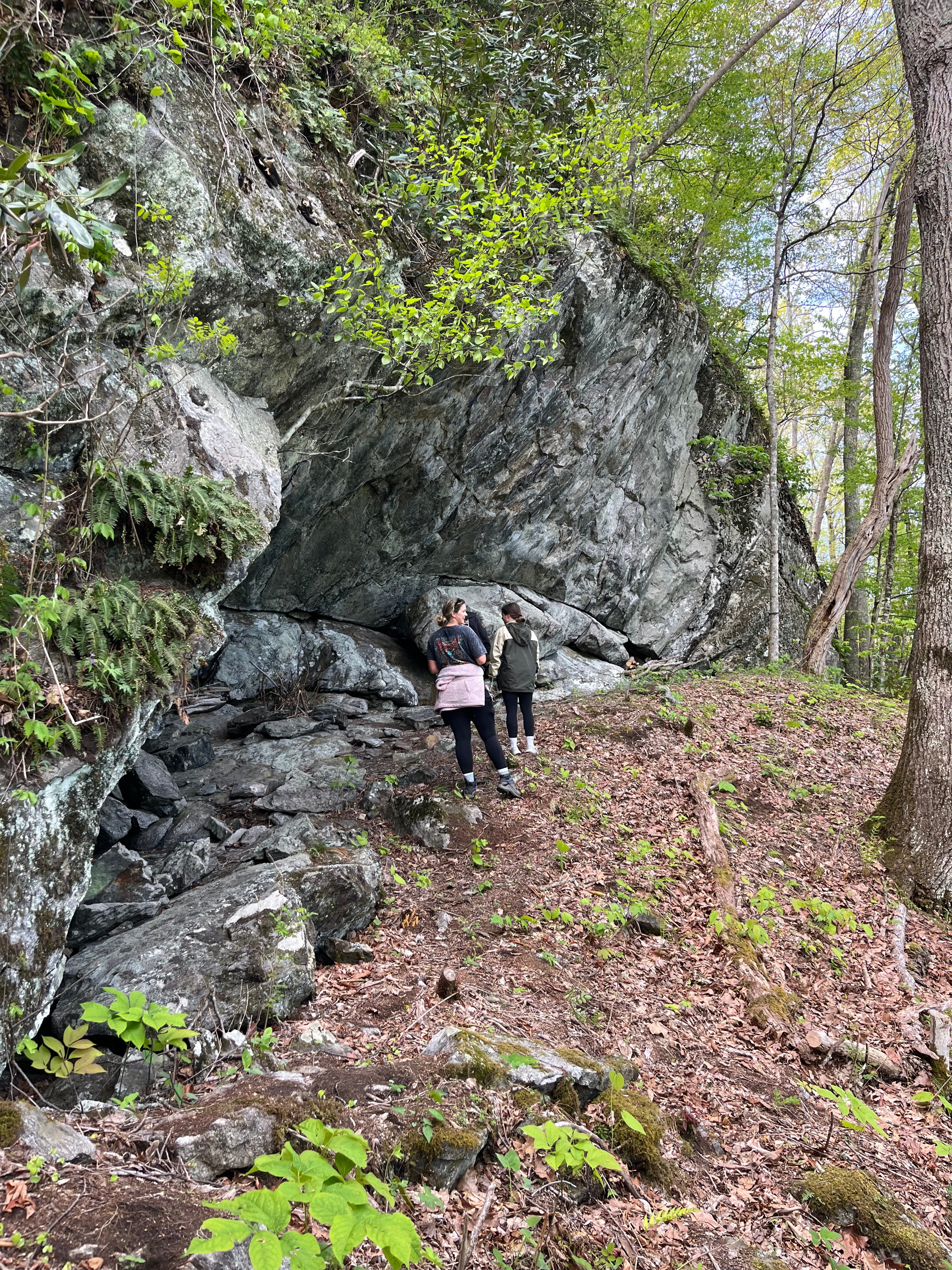 50-Acres of Sunset near Smokies