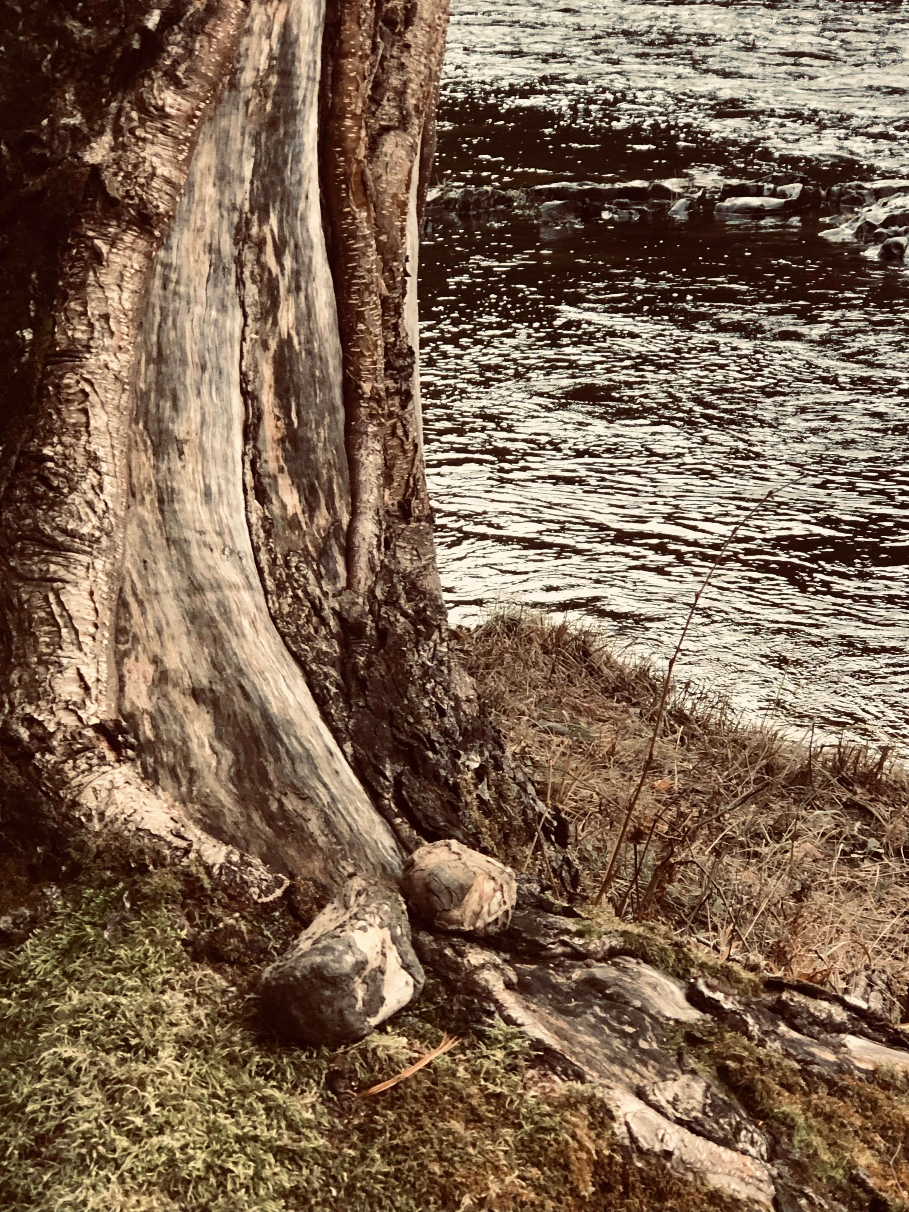 Haunted Hainesville Wood Waterfront