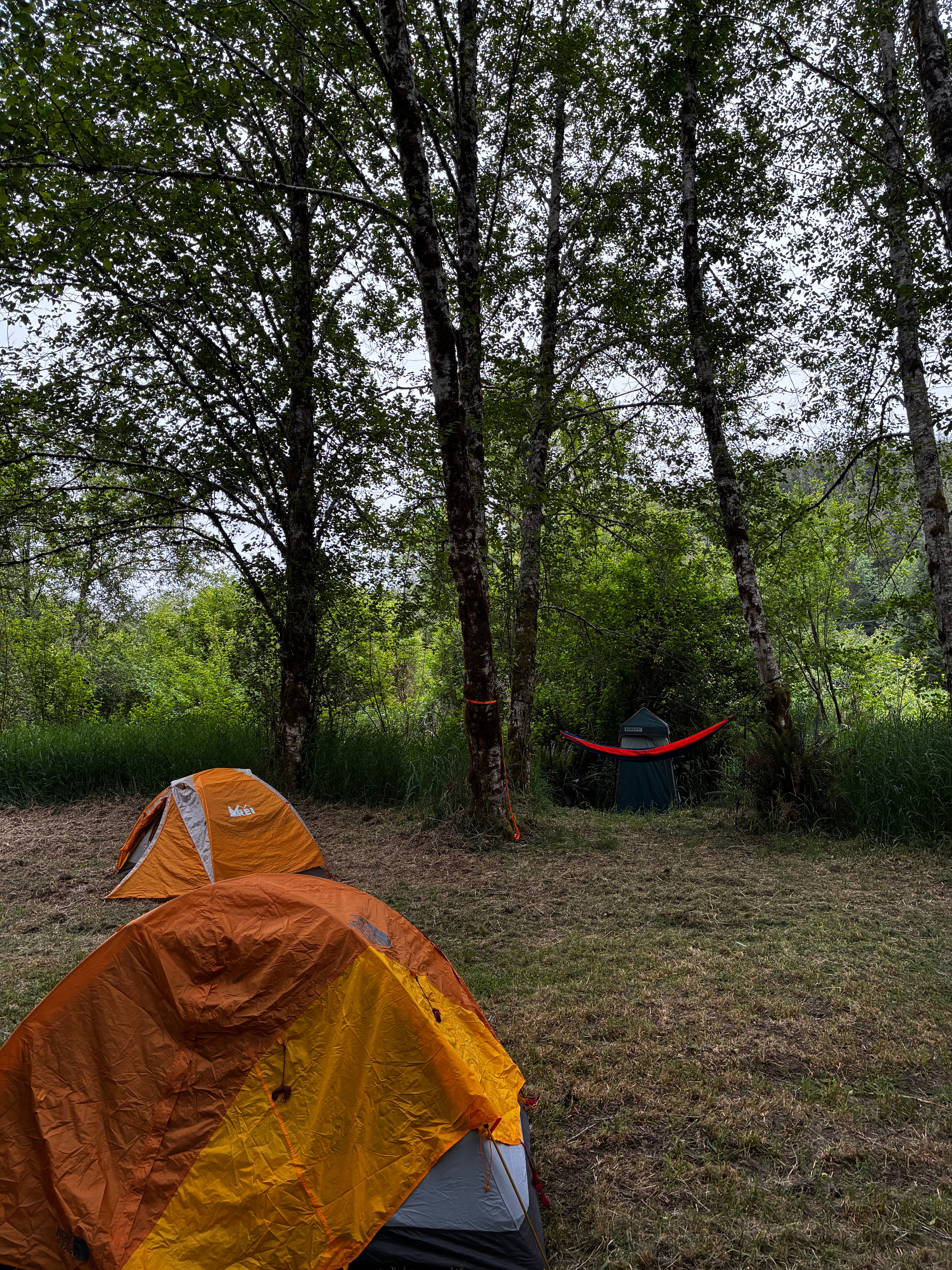 Eclectic Campgrounds