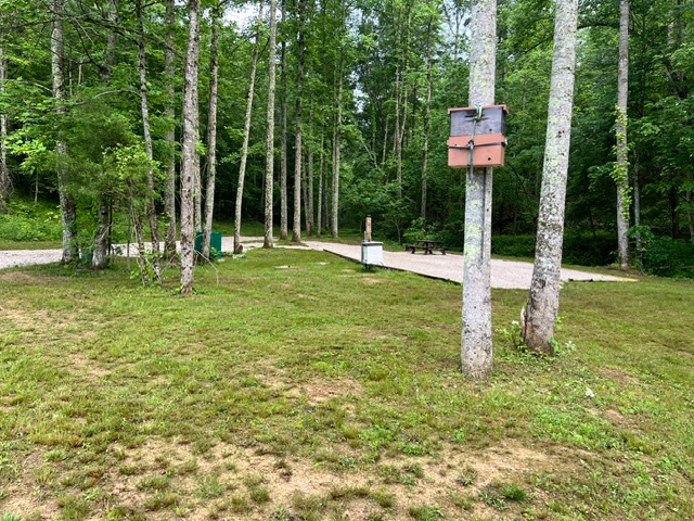 Red River Honey and Bees Glamping