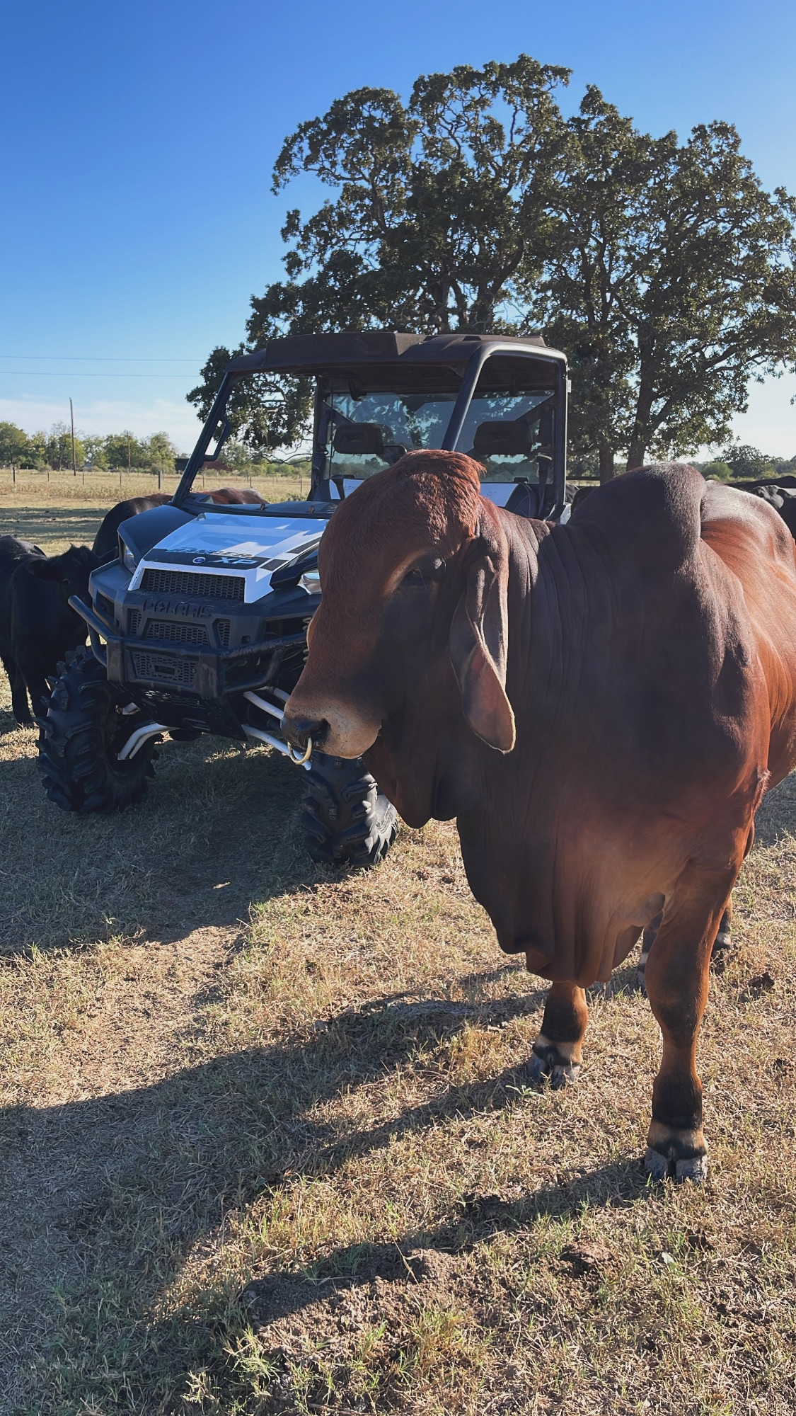 Fence Line Ranch Stay