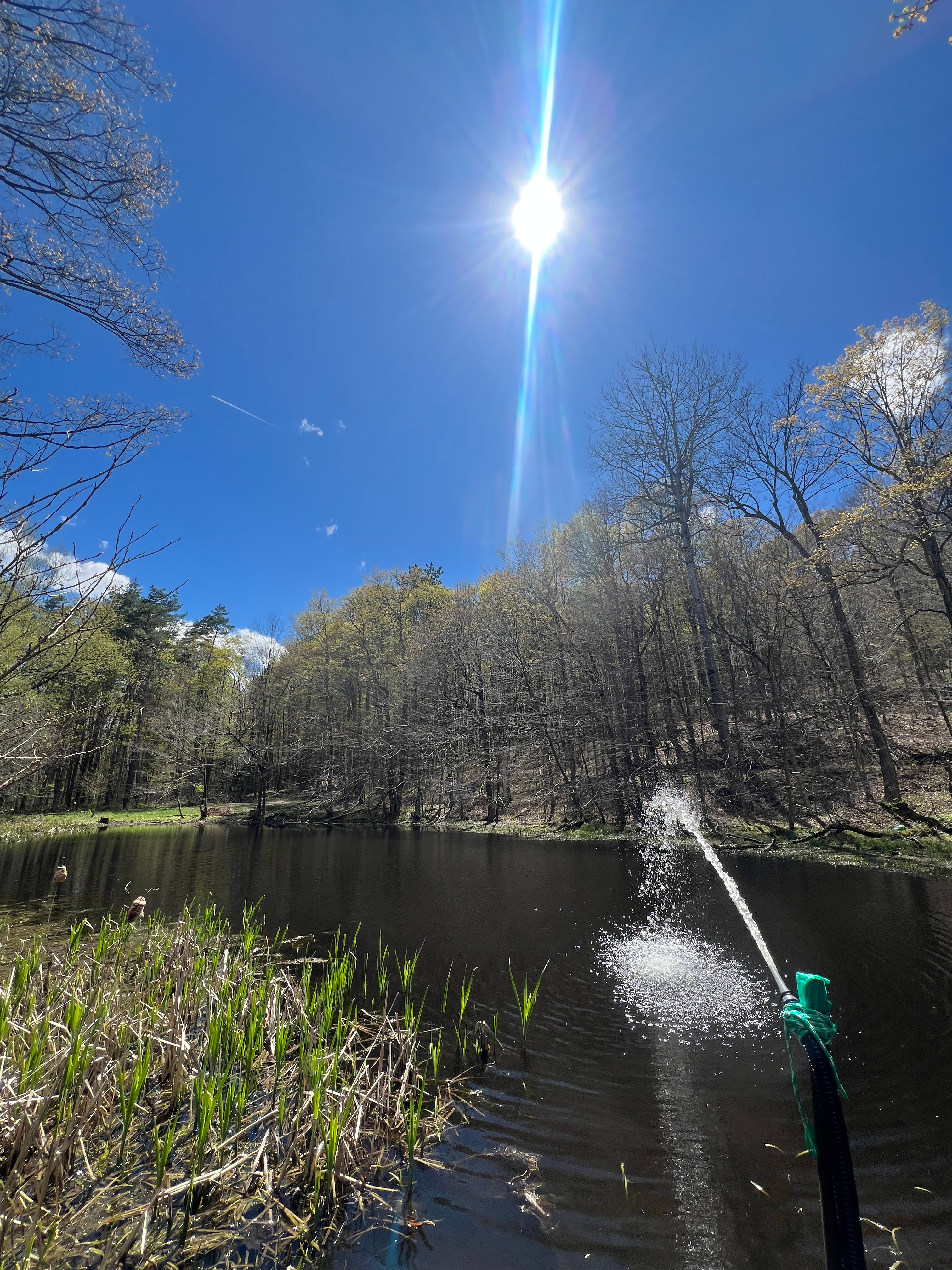 Bring your kayak or canoe for the pond or one of the lakes!