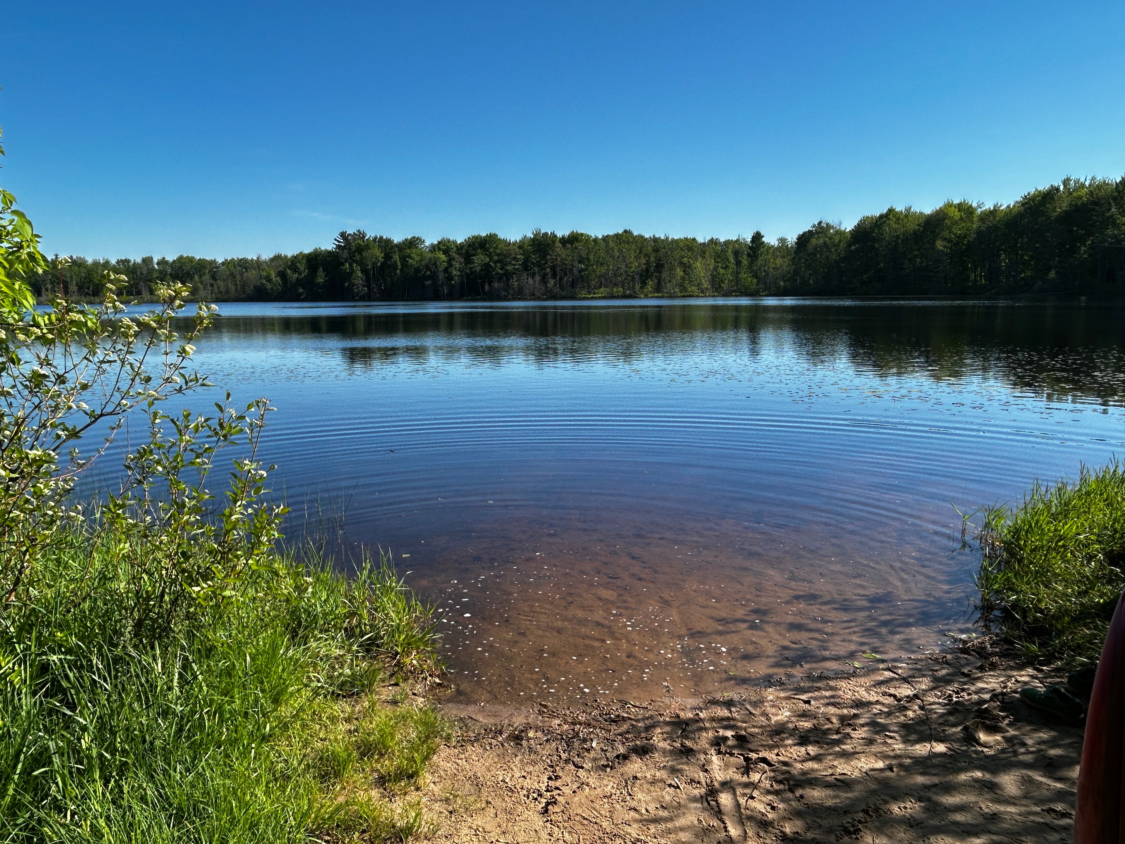 Healy Lake Resort and Boat Rental