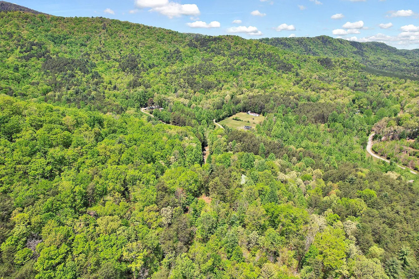 Our property is the trees to the left of the dirt road. 