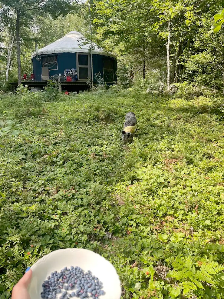 Green Apple Grove