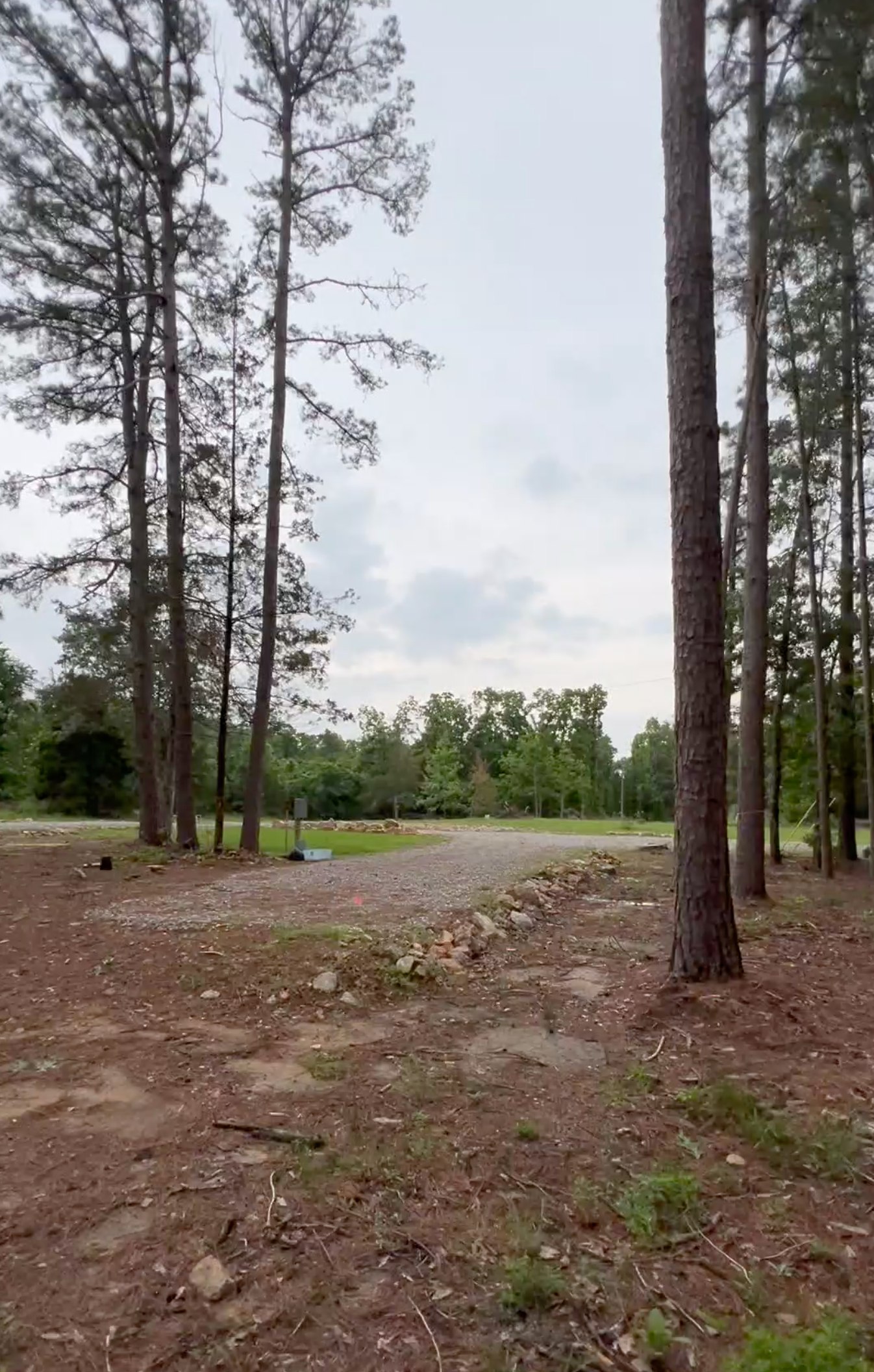 Arcane Acres - Camp Among The Pines