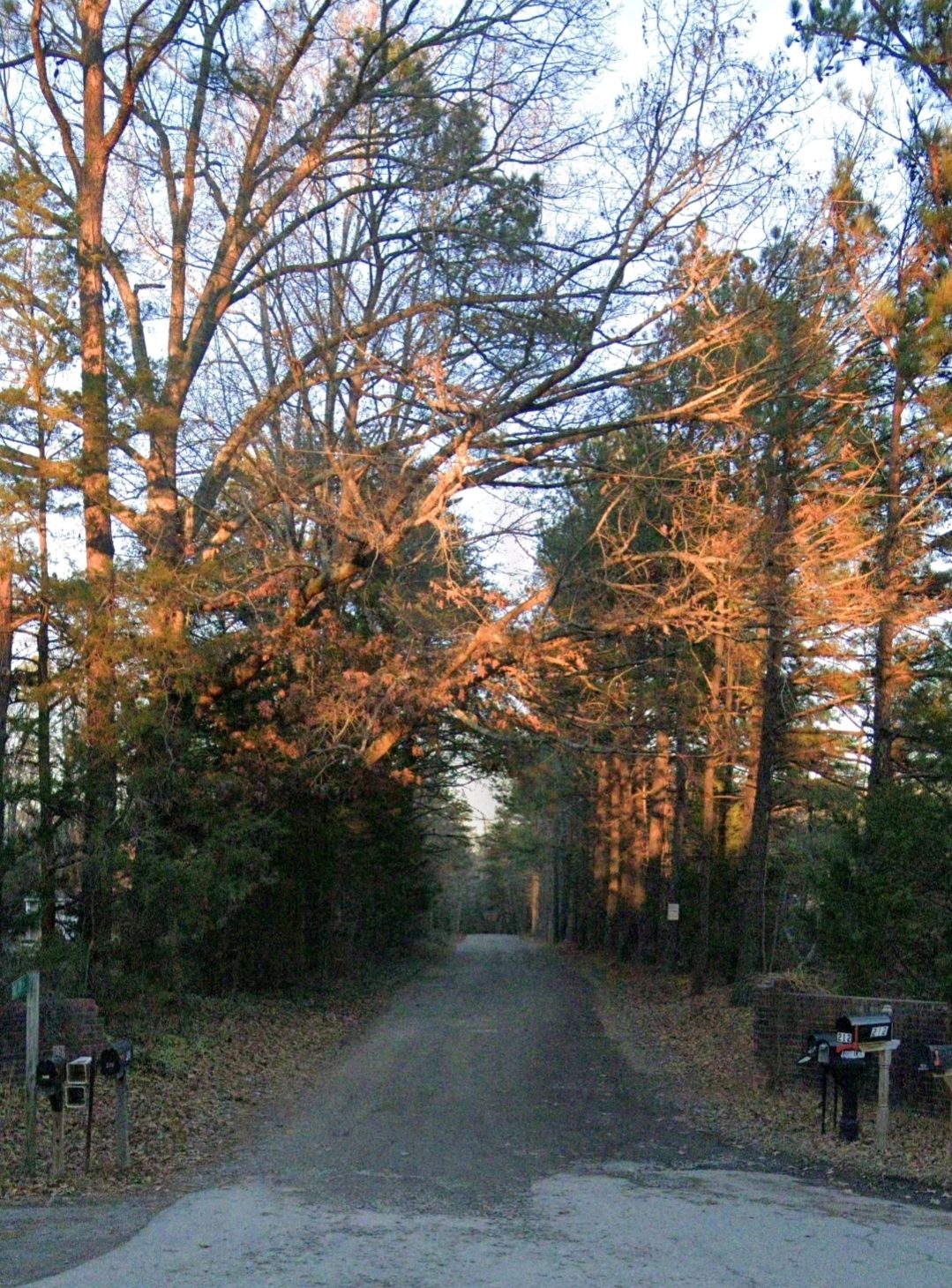 Quiet country roads lead you to The Pavilion at Mill Run, tucked away in rural Walkerton, Virginia.