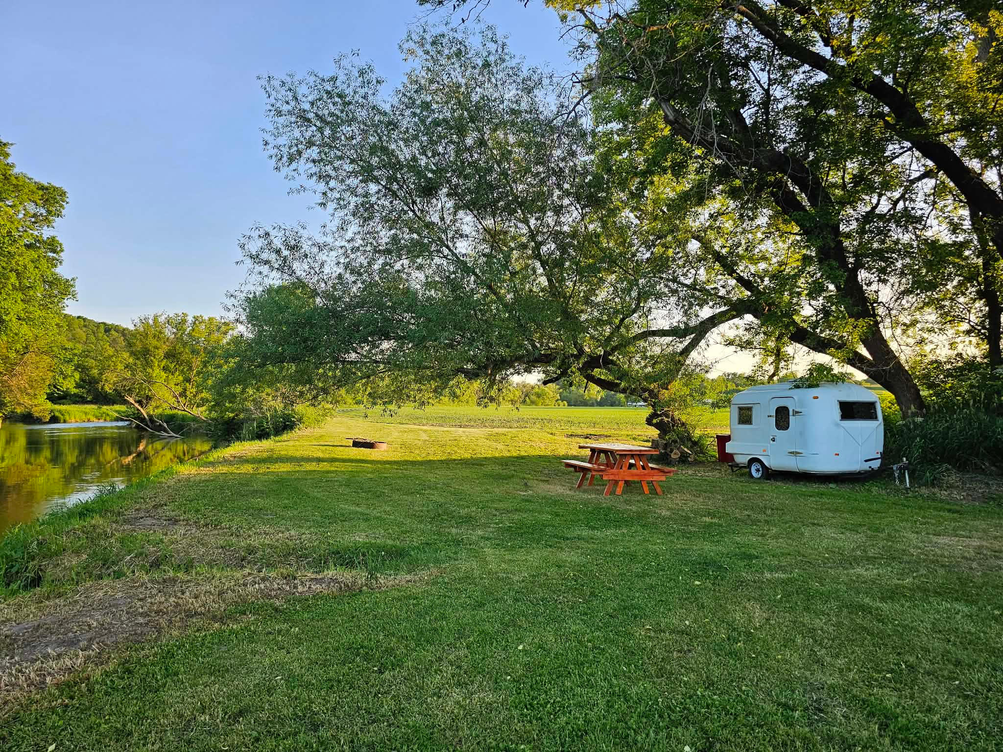 The Driftless Willow