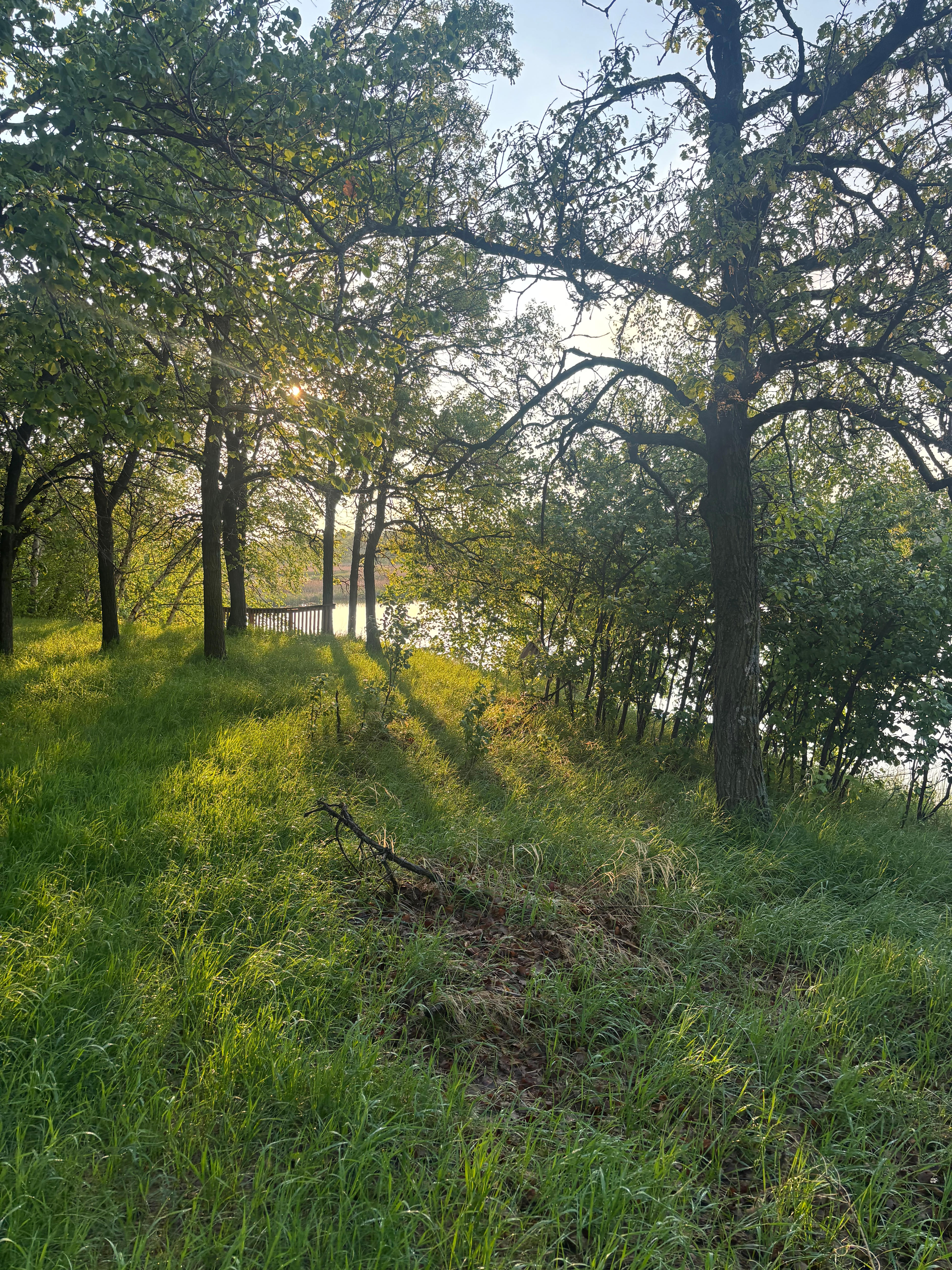 Stephenfield lake west.