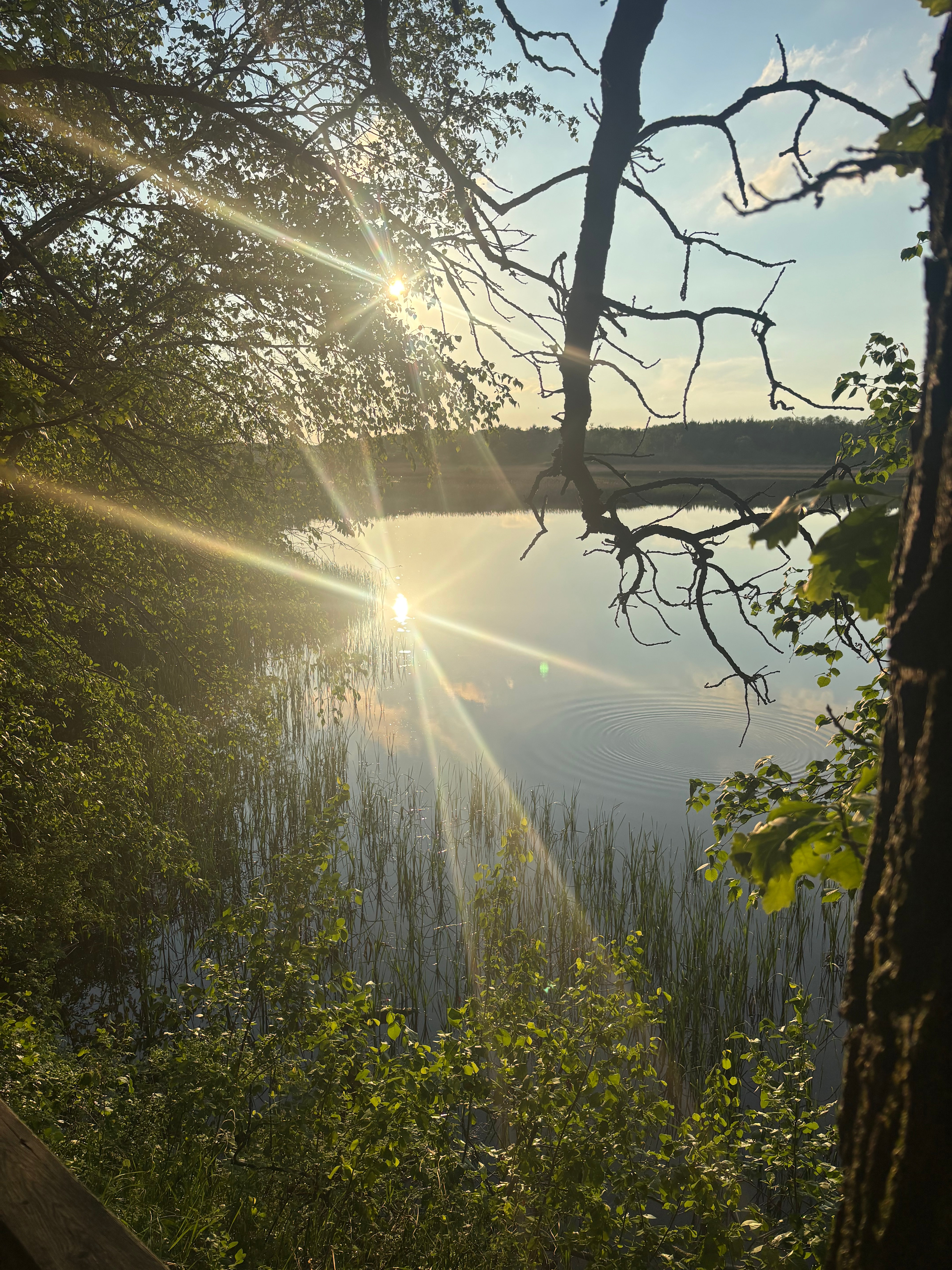 Stephenfield lake west.