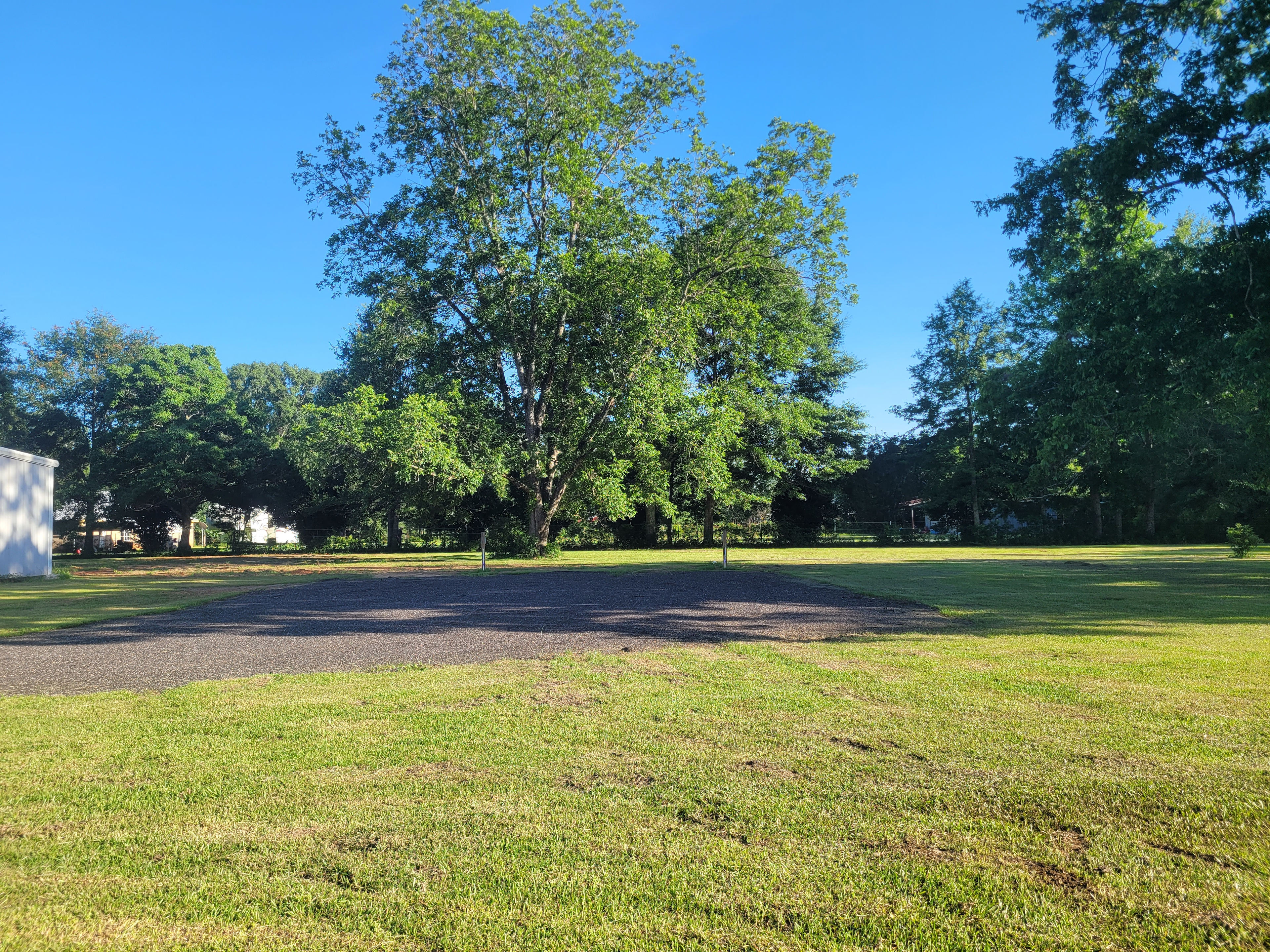 The Farm